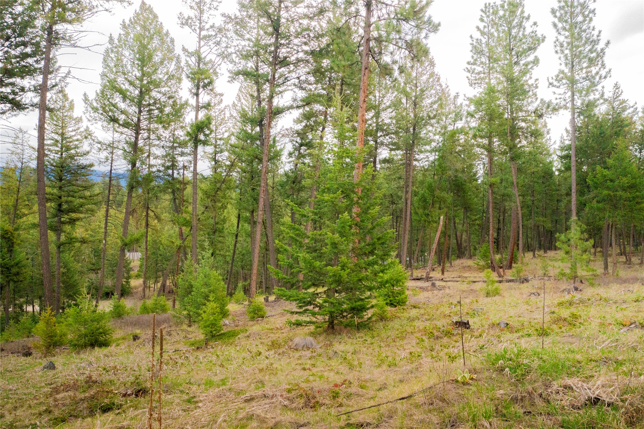 Lot 7 Tobacco Valley View Road