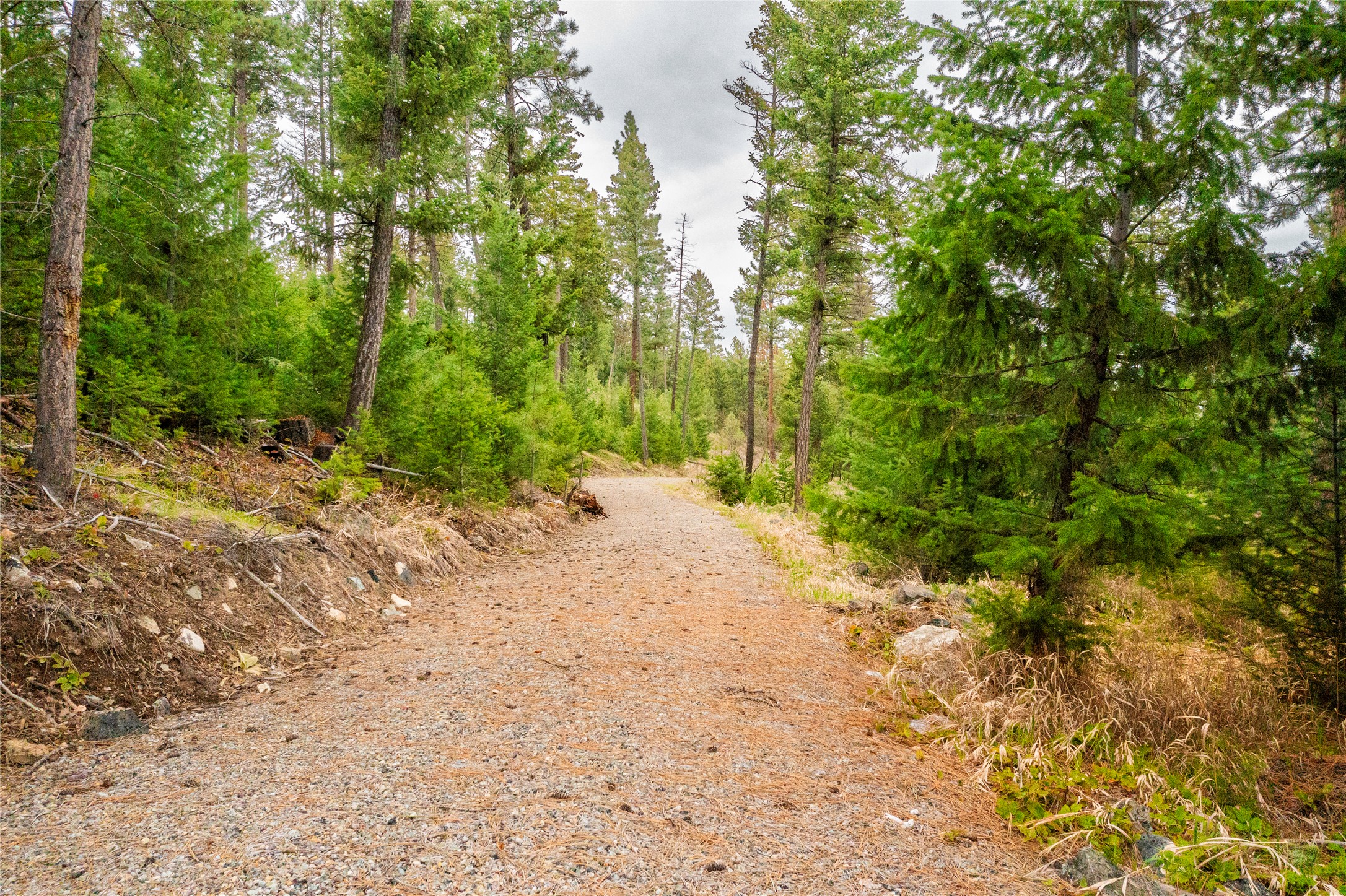 Lot 7 Tobacco Valley View Road