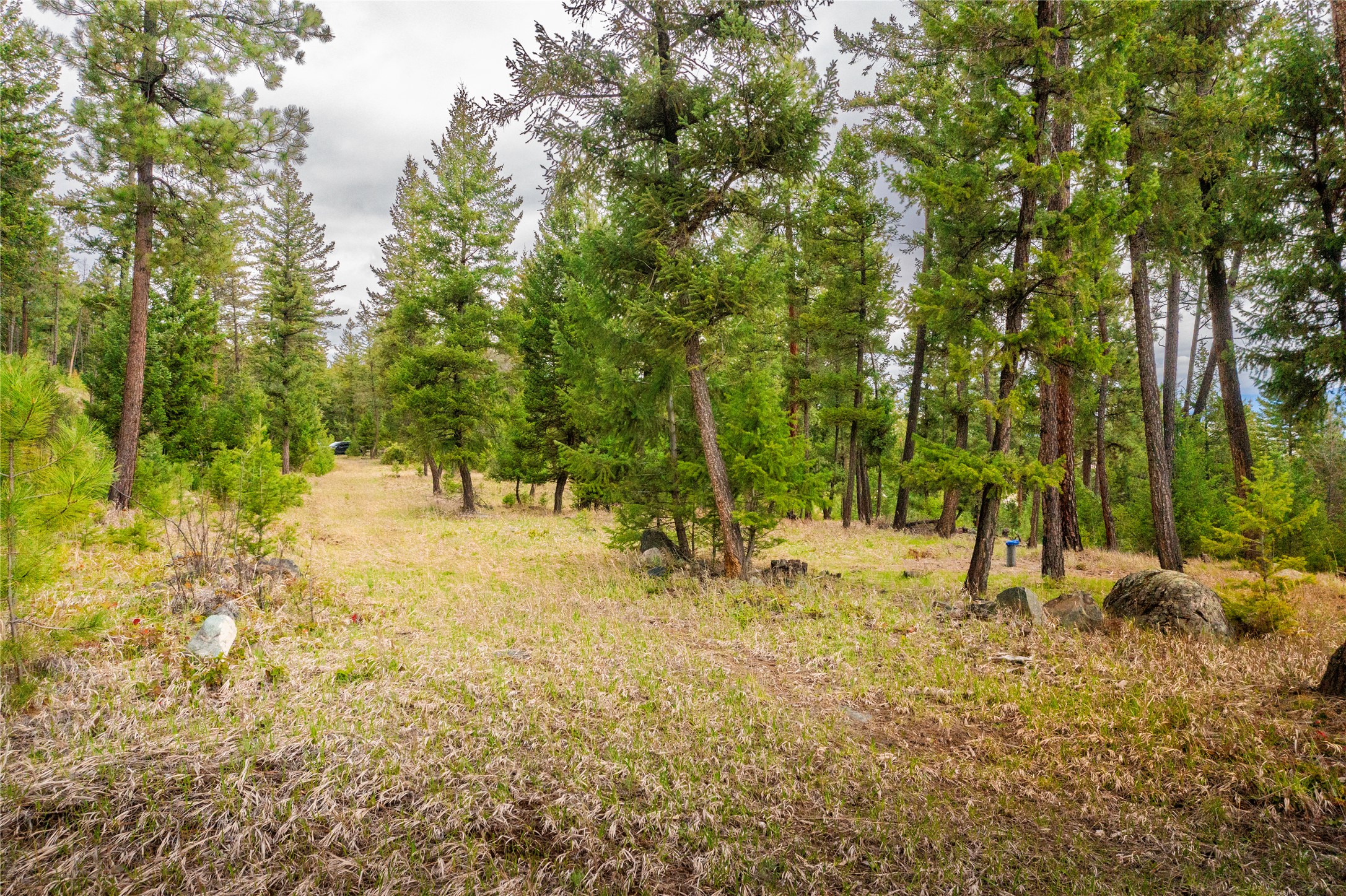 Lot 7 Tobacco Valley View Road