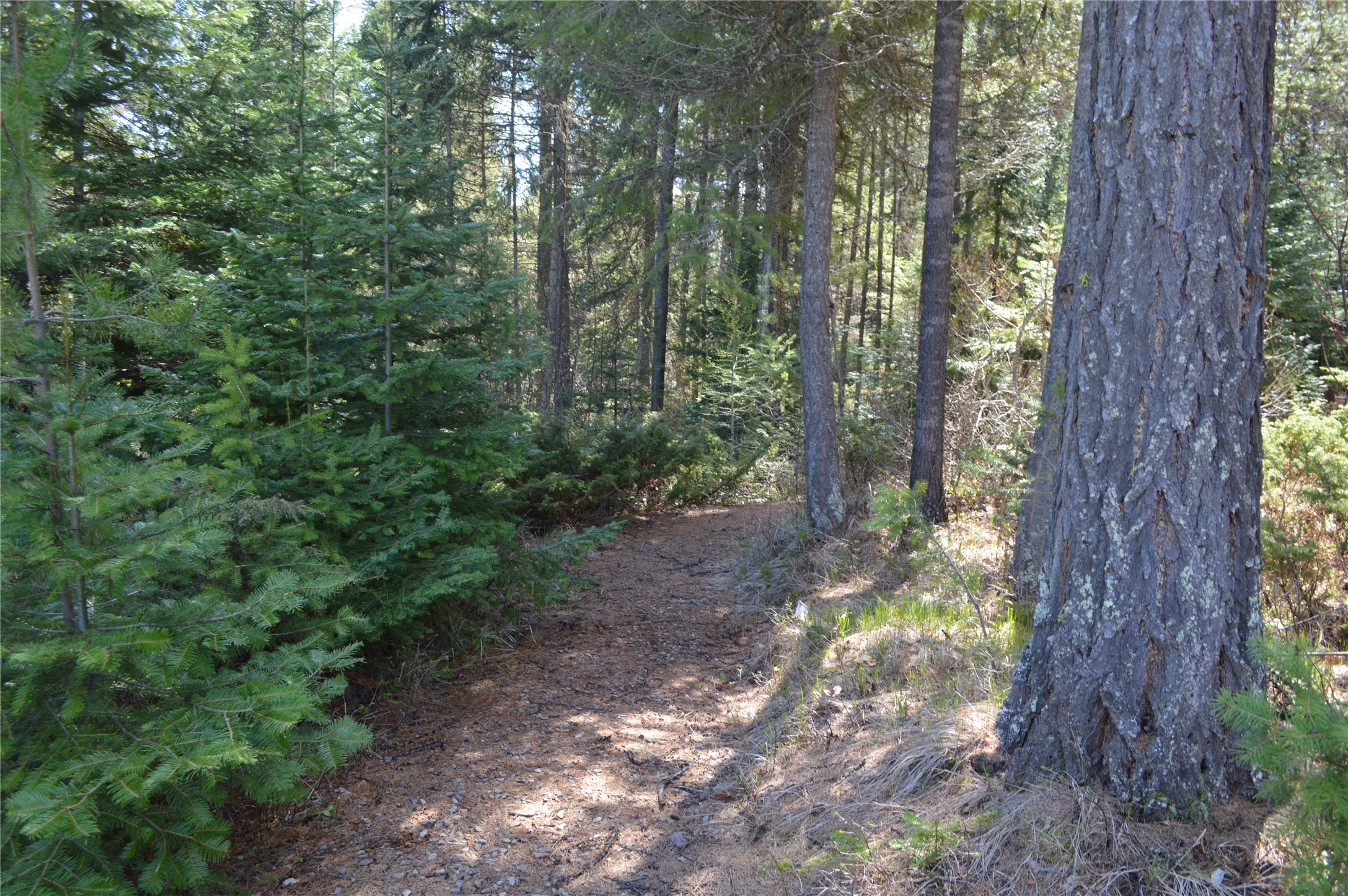 200 Whitefish Hills Drive