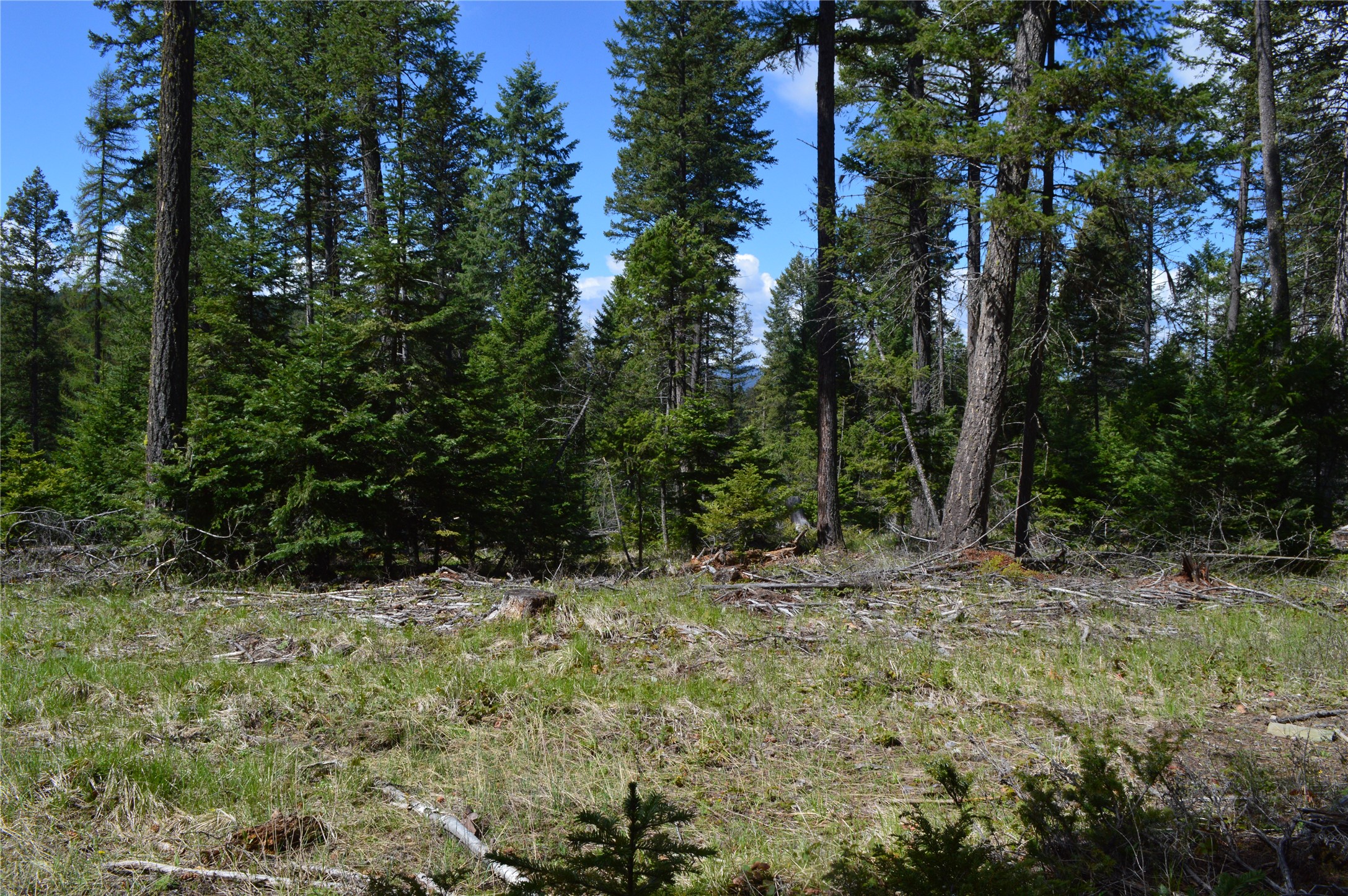 200 Whitefish Hills Drive