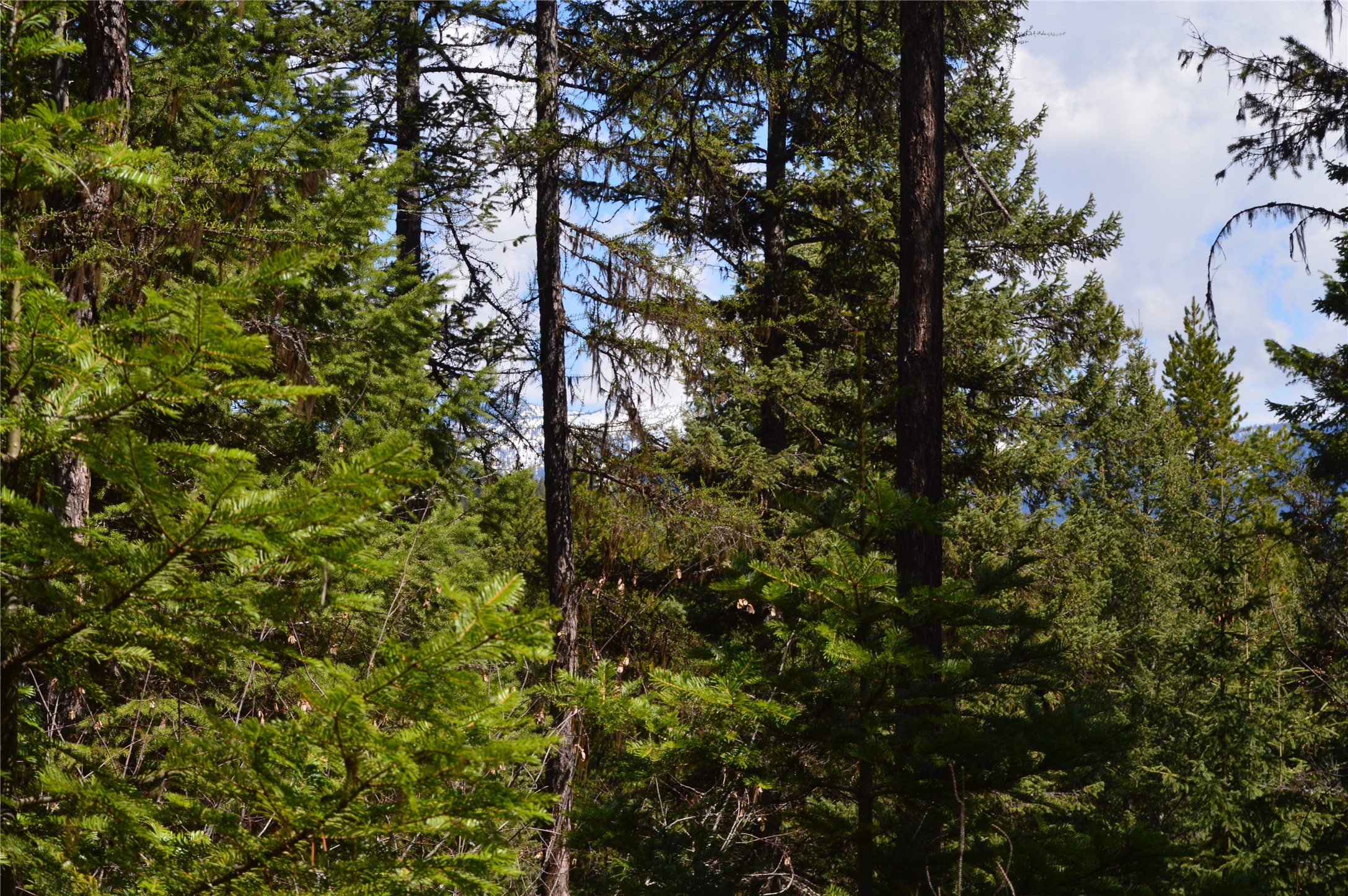 200 Whitefish Hills Drive