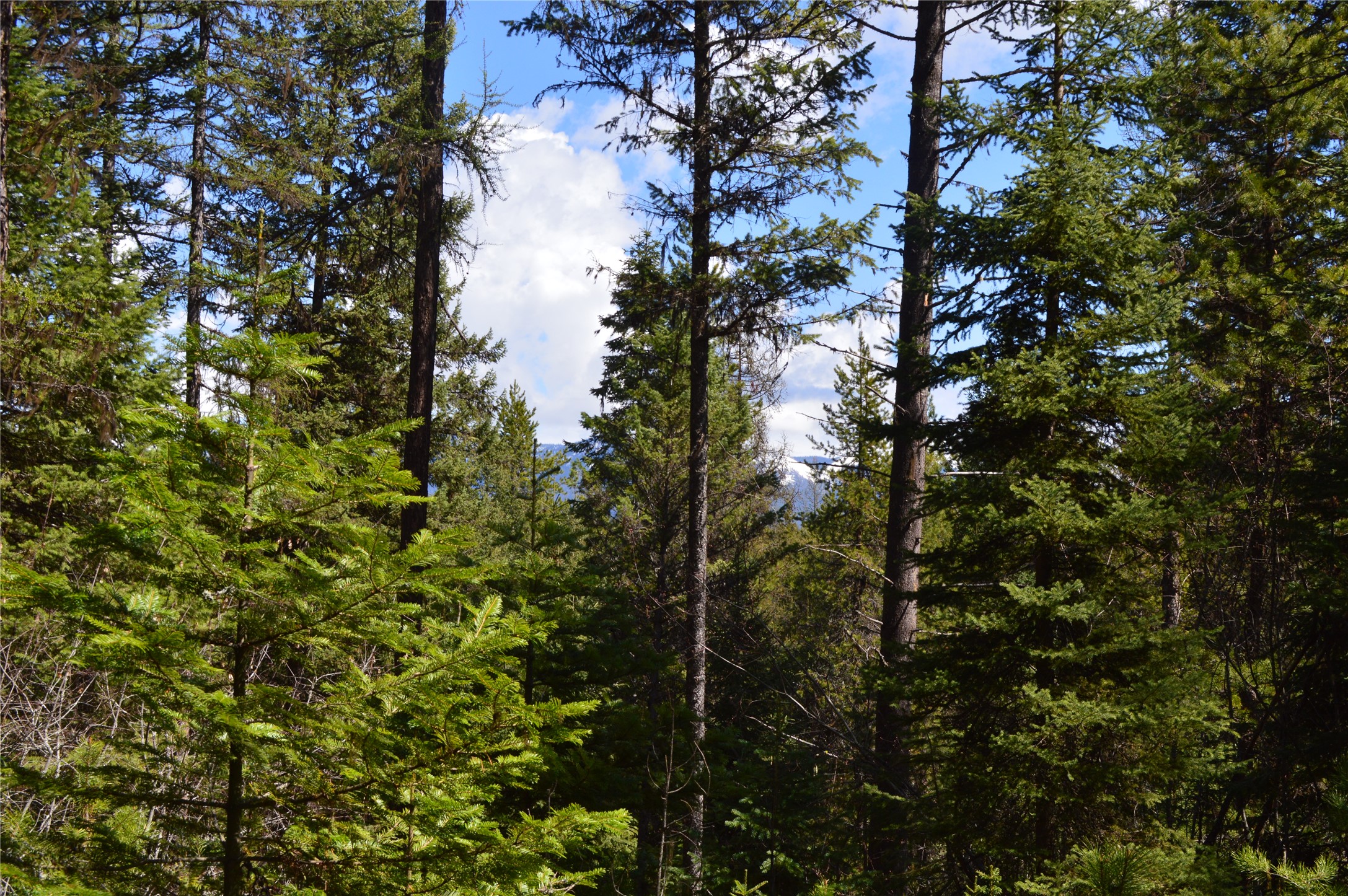 200 Whitefish Hills Drive