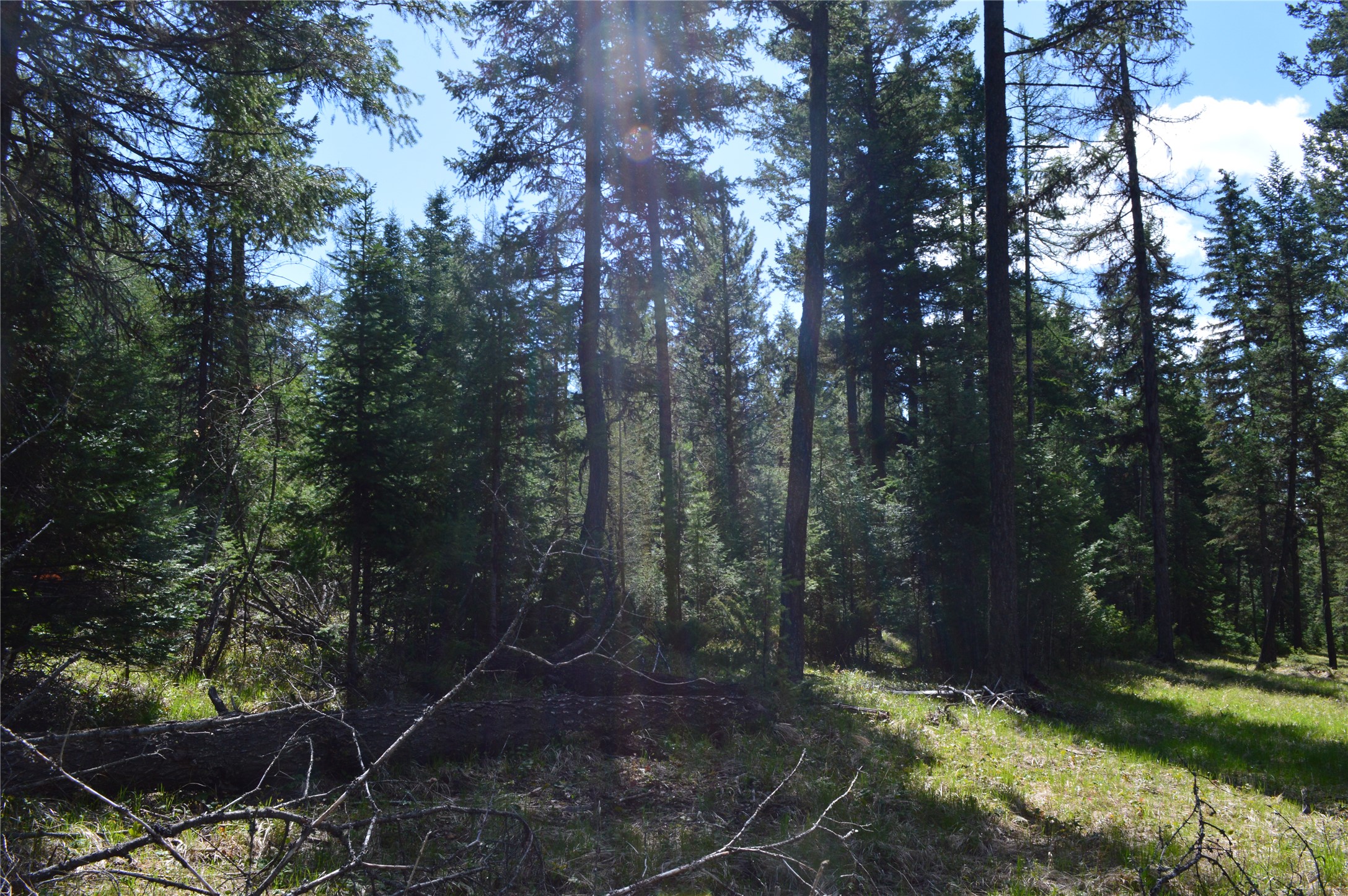 200 Whitefish Hills Drive