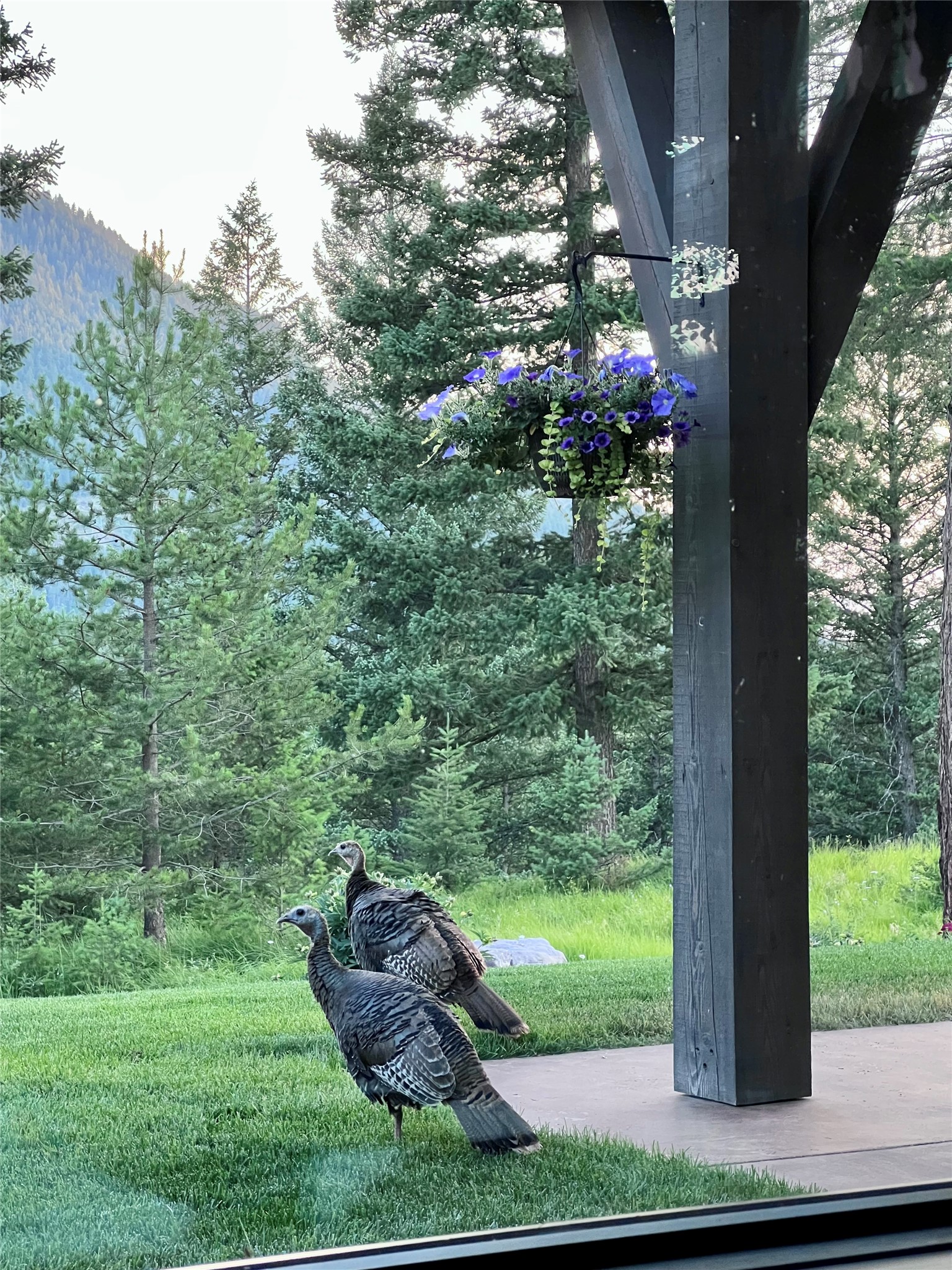 65 Soaring Eagle Way