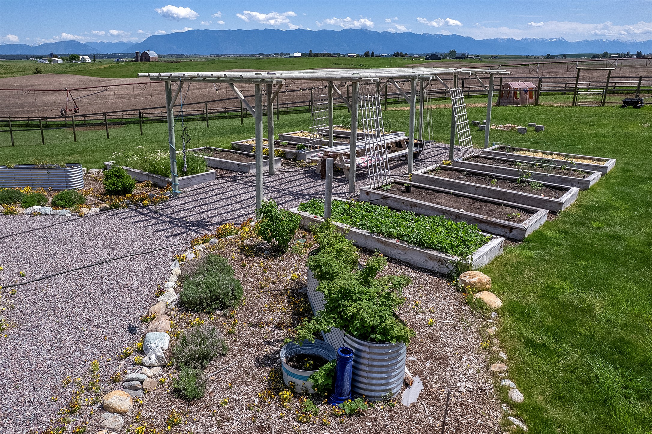 123 Canola Road