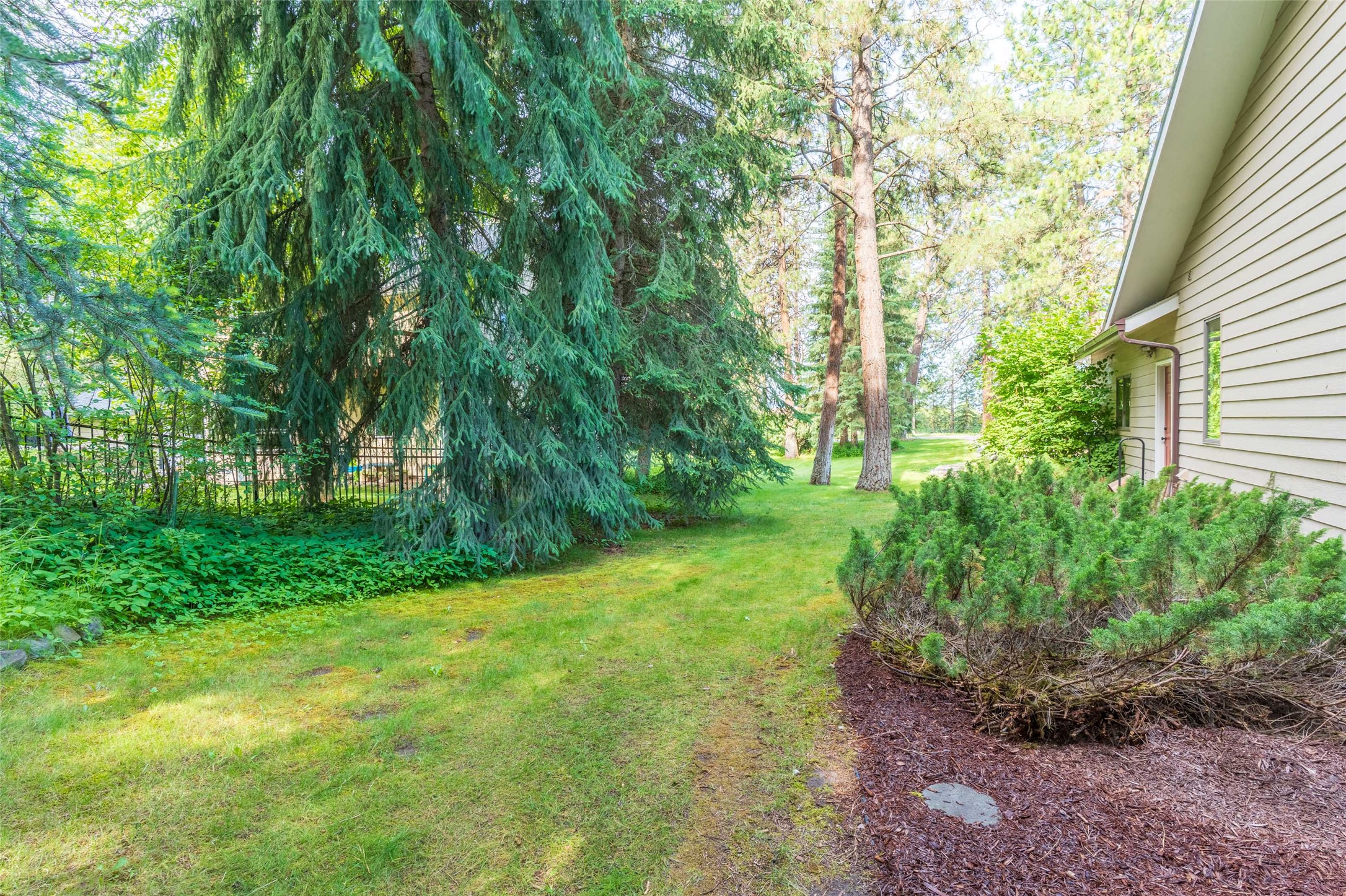 143 Ponderosa Lane