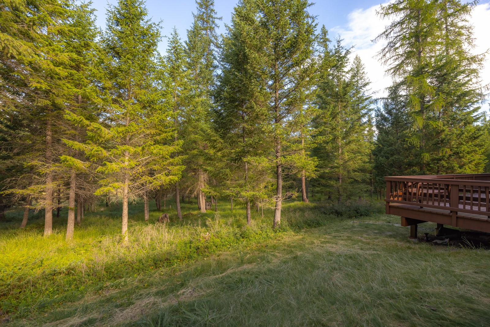 248 Pine Woods Court