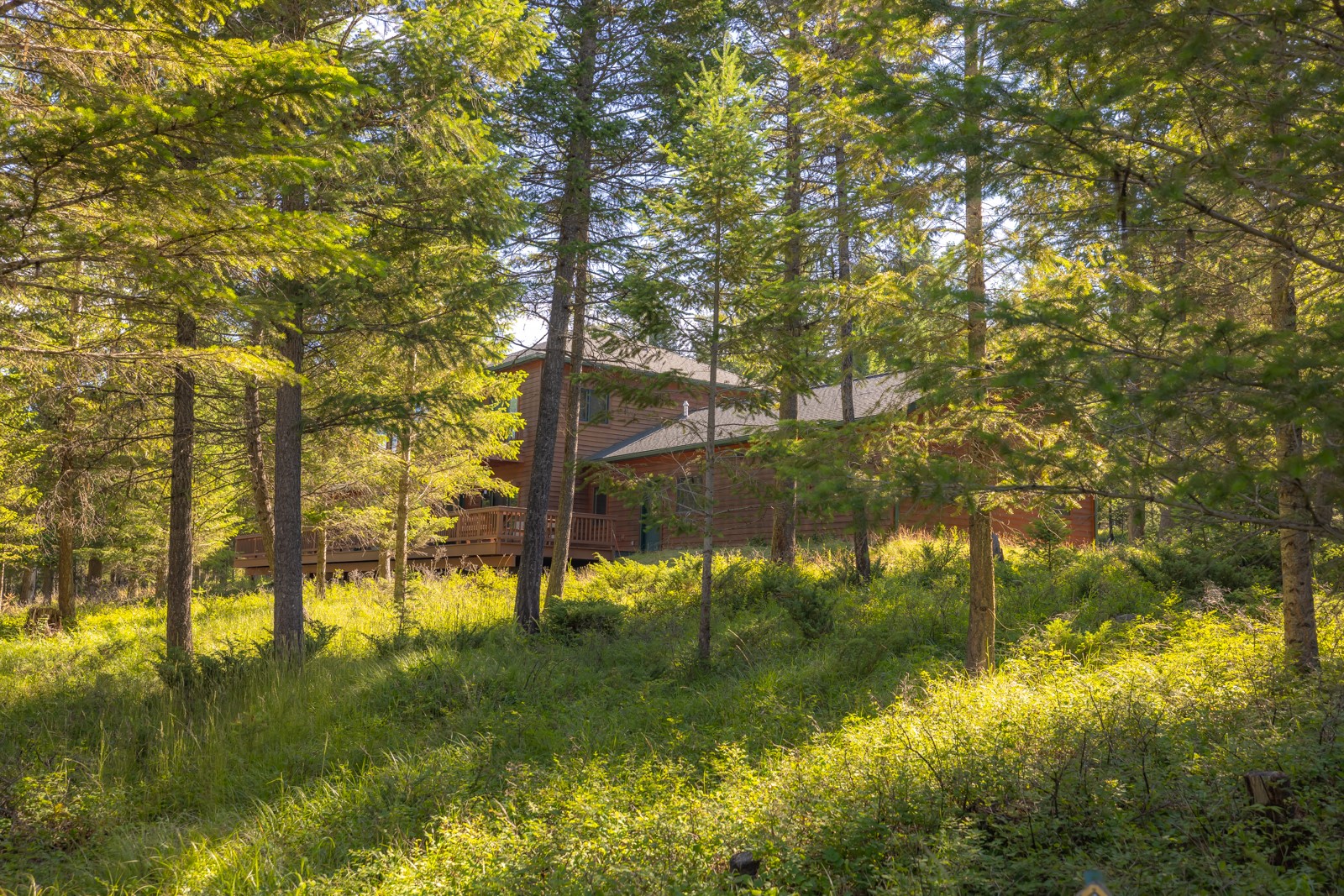 248 Pine Woods Court