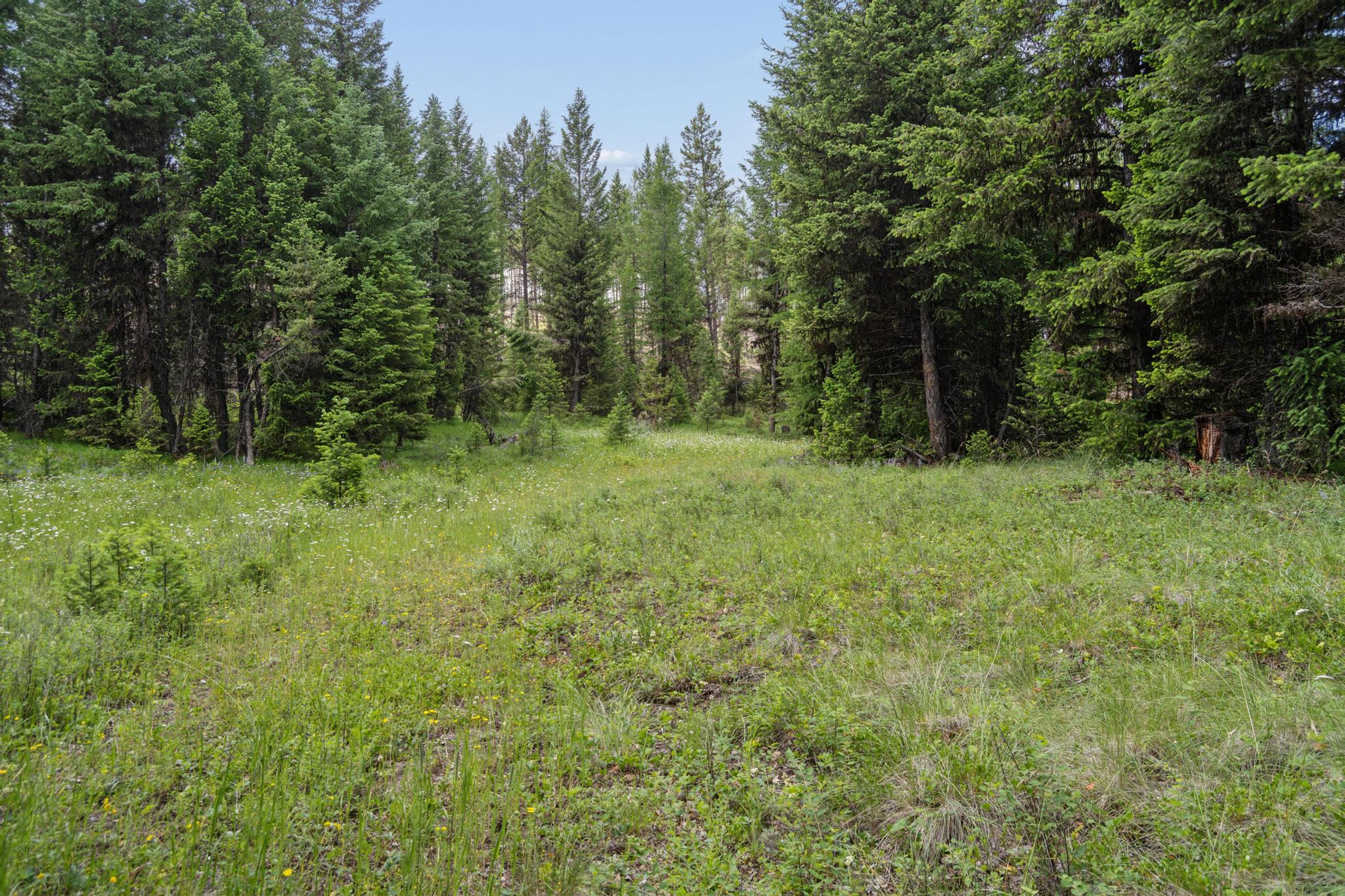 279 pinkham rd