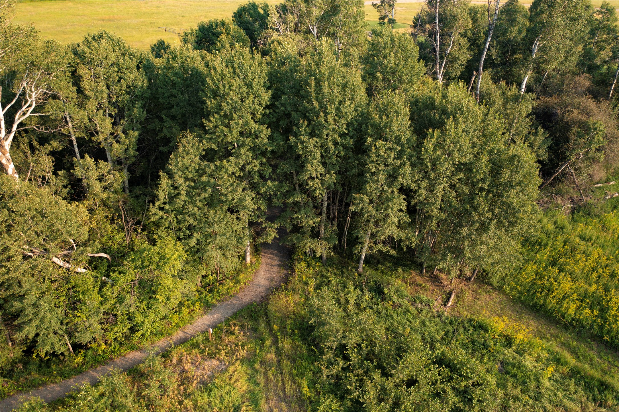 62 Heron Road
