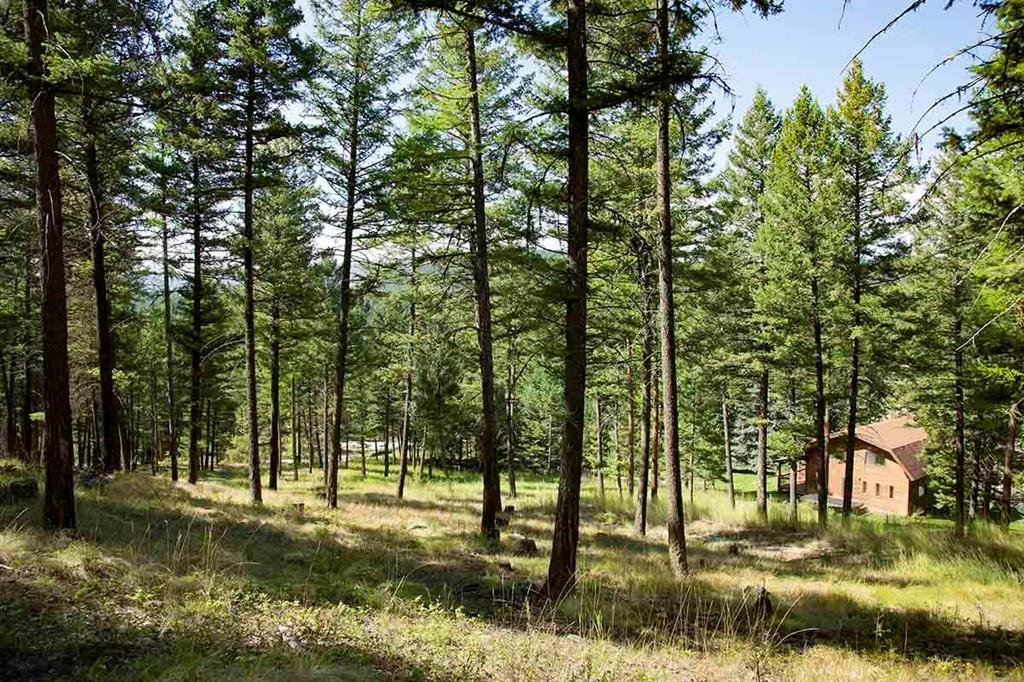 1243 Kienas Road