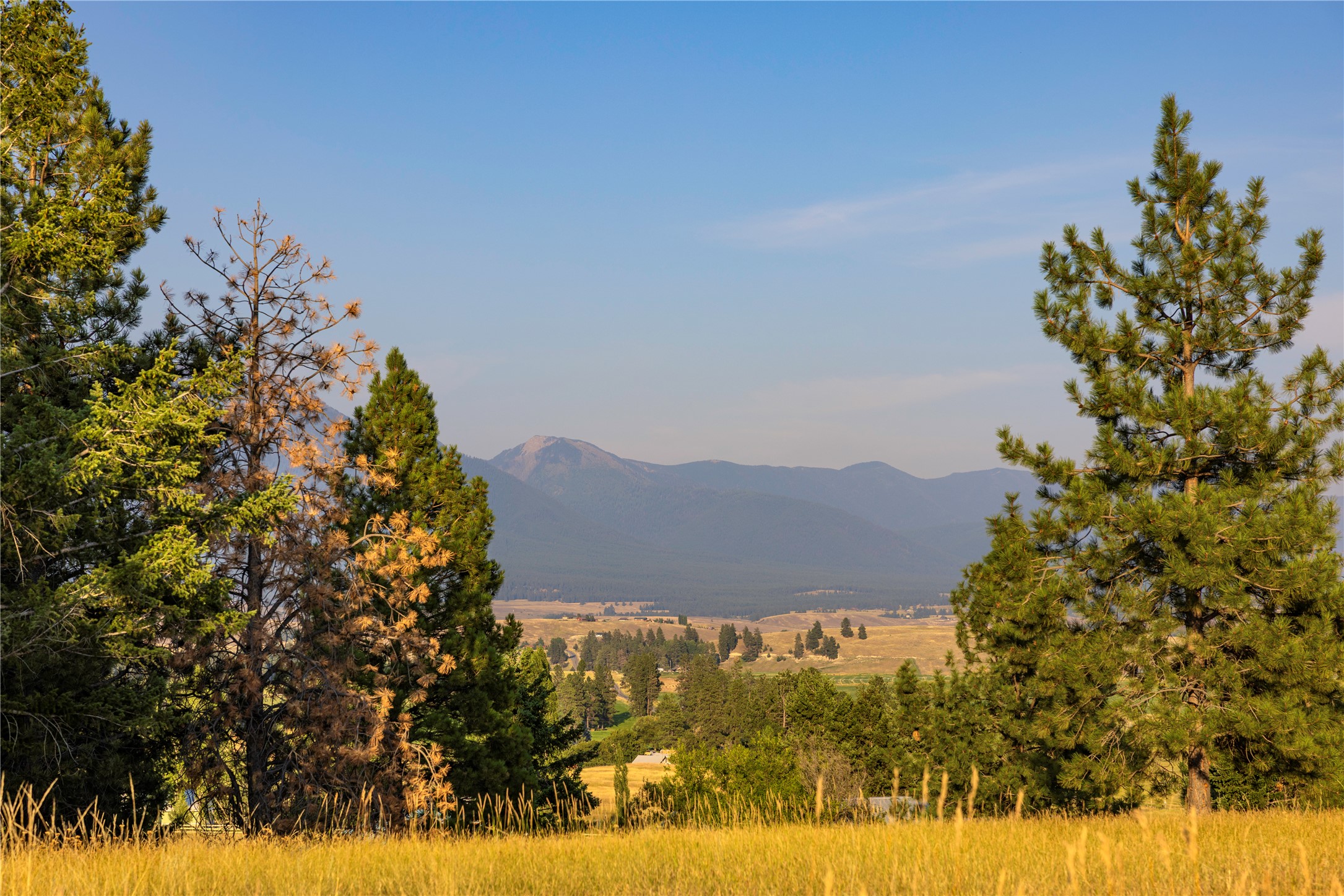 425 Koocanusa Estates Drive N