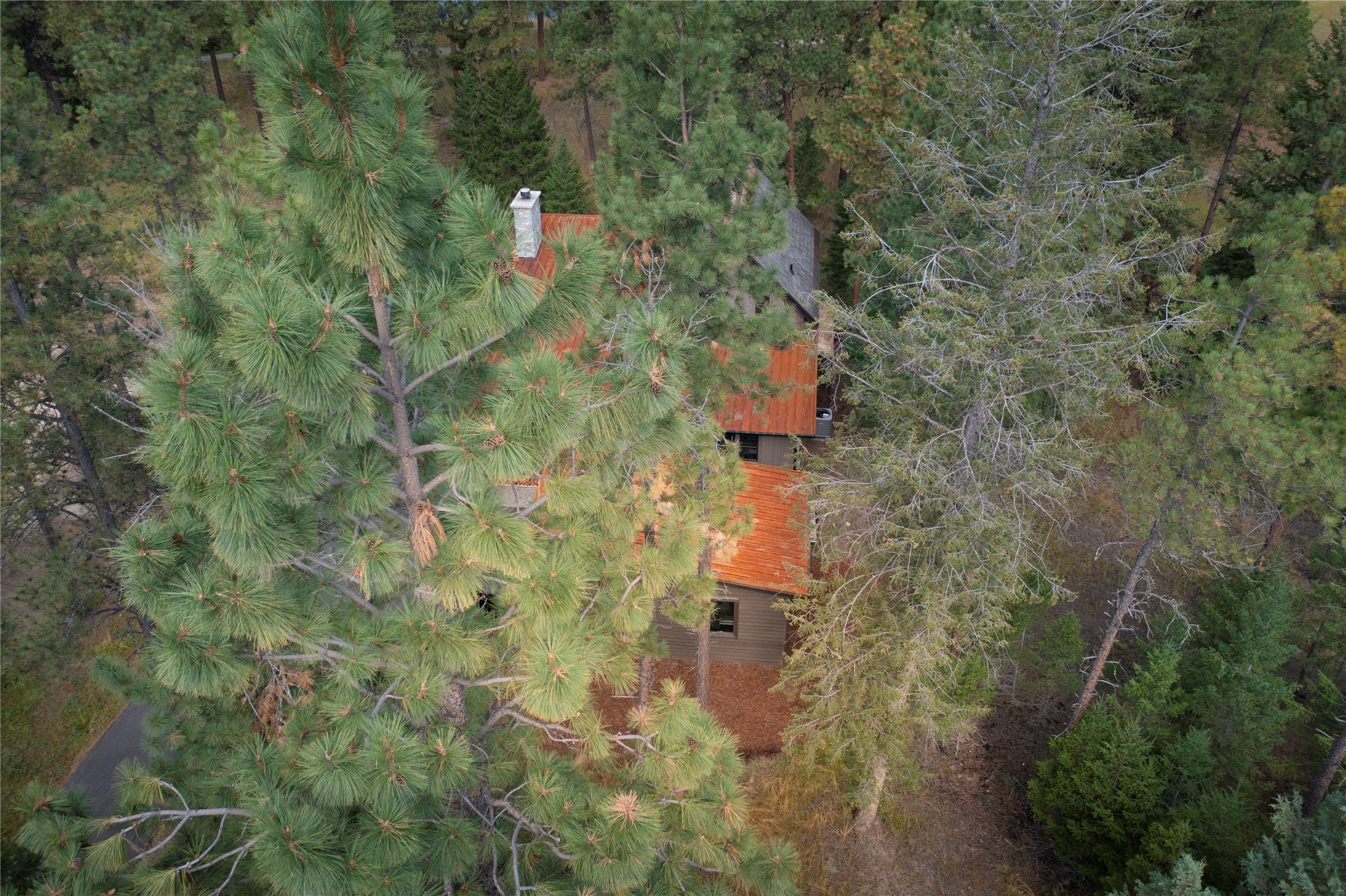 724 Wilderness Club Drive
