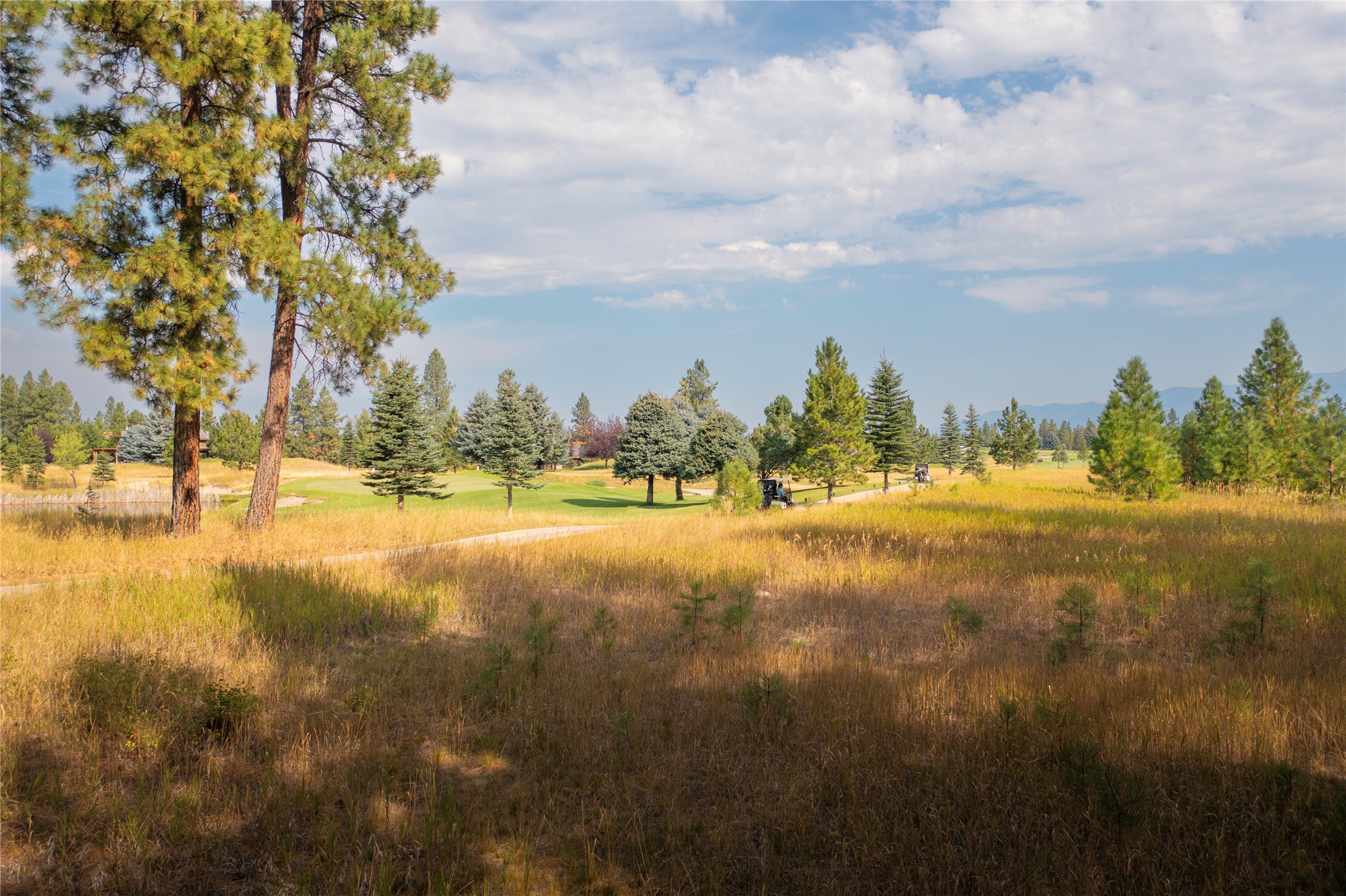 724 Wilderness Club Drive