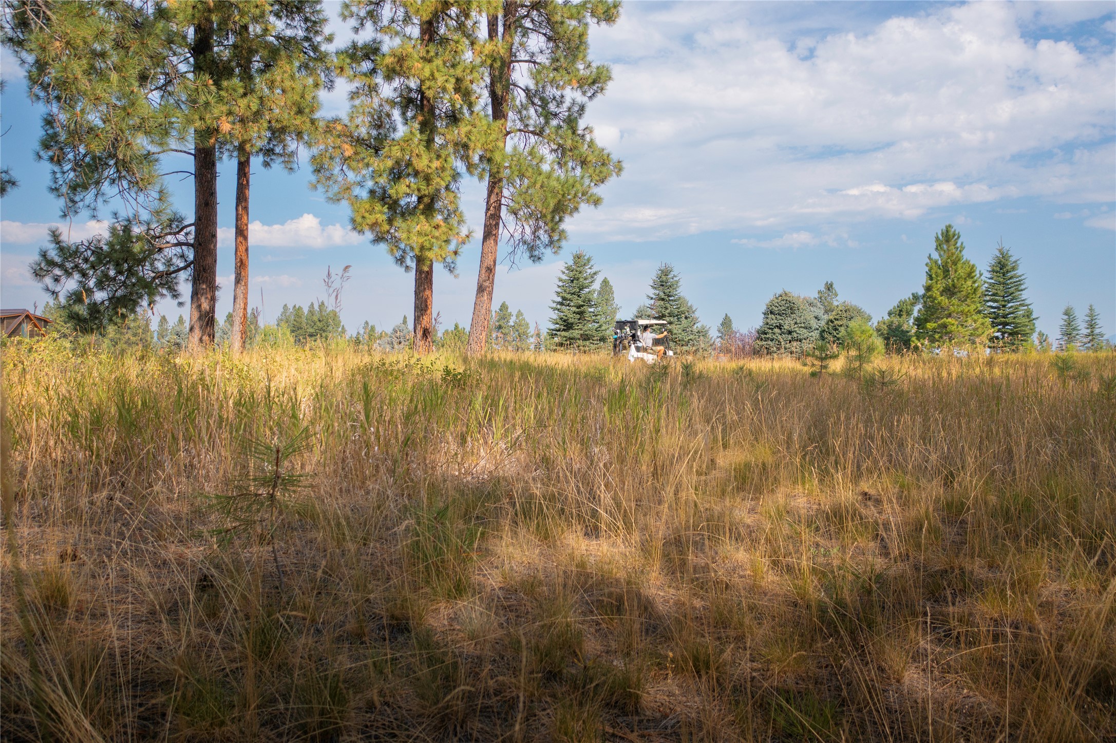 724 Wilderness Club Drive