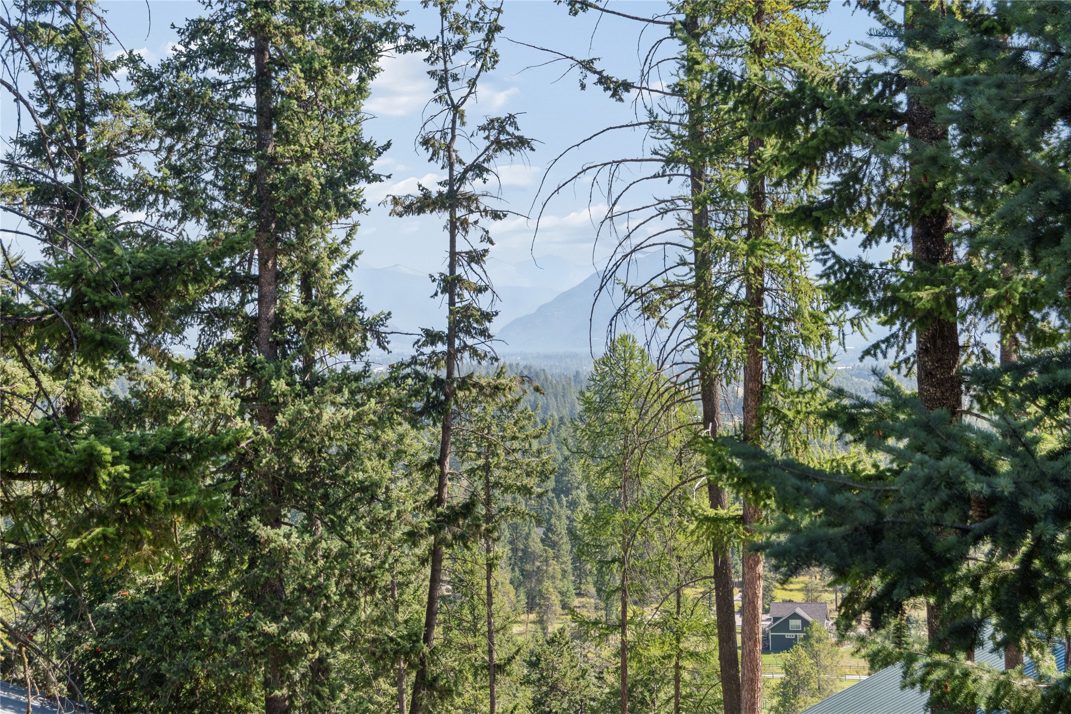 226 Goat Trail