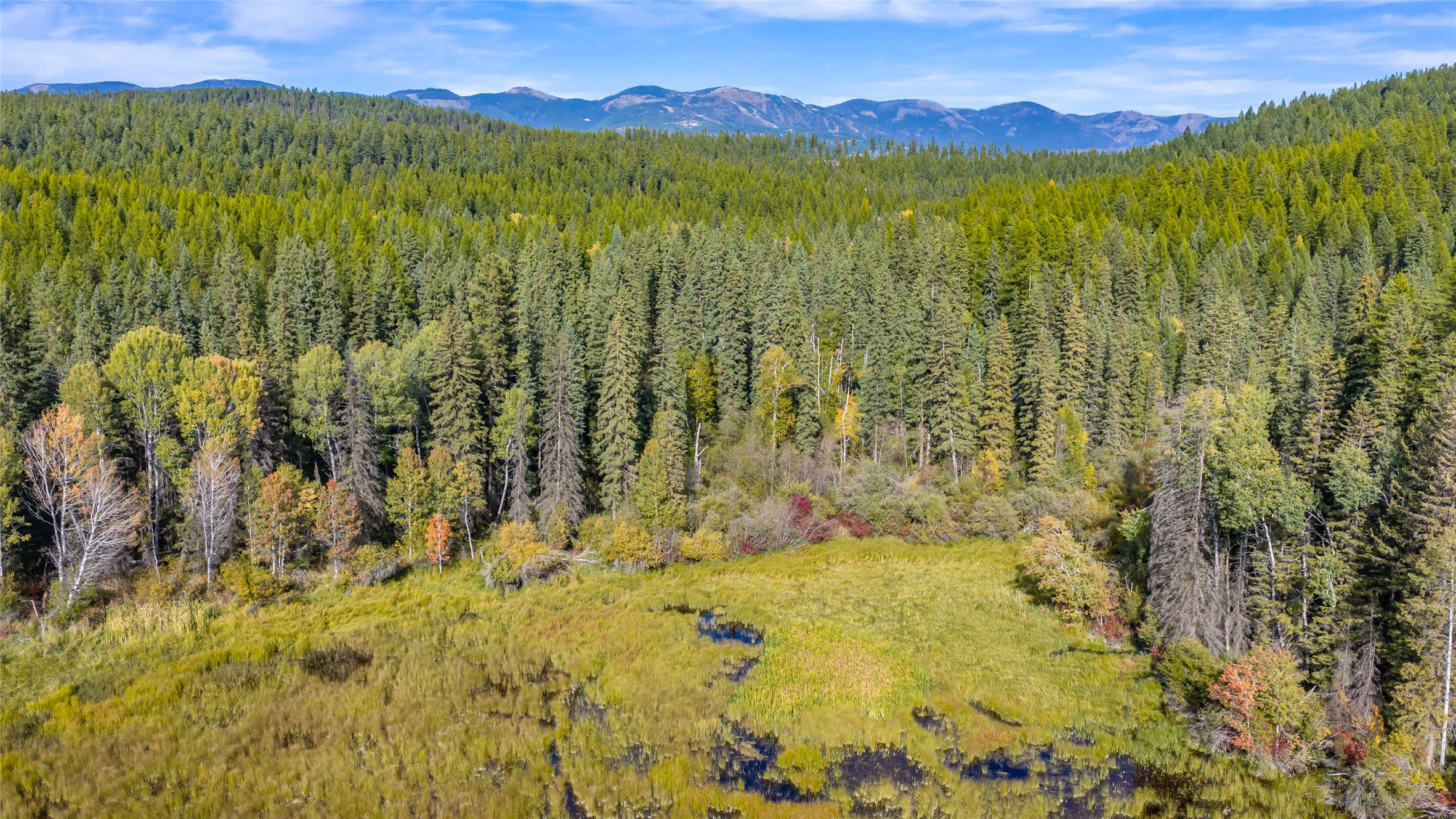 675 Beaver Lake Road