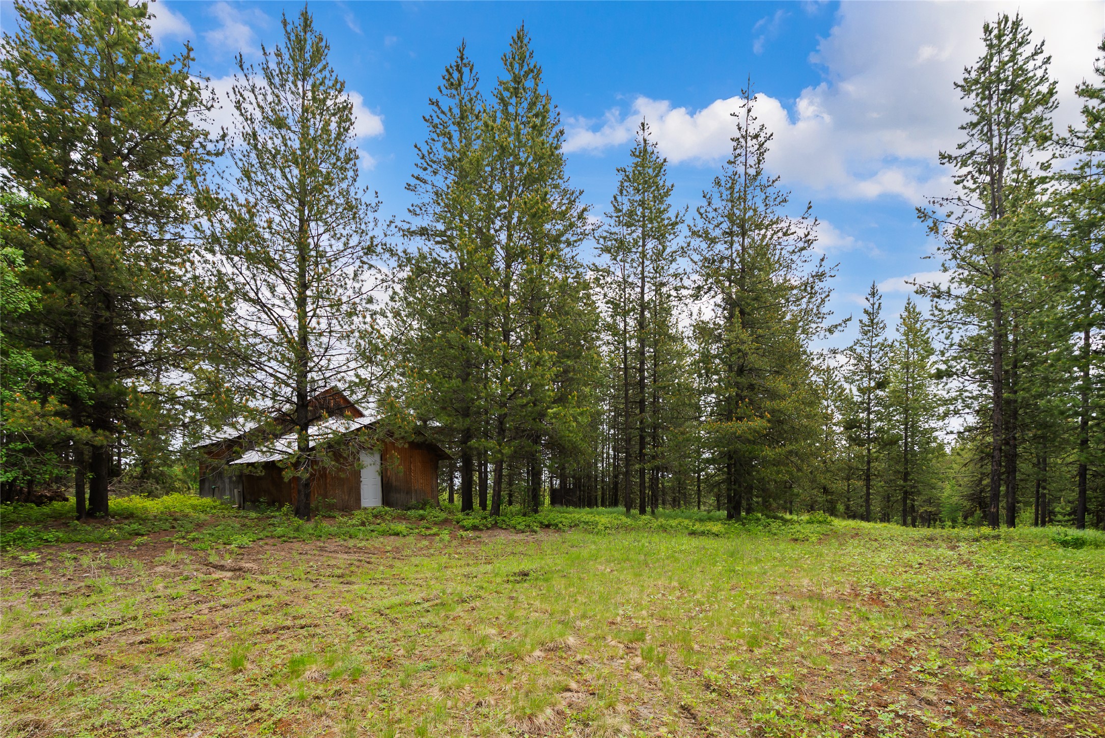 11532 North Fork Road
