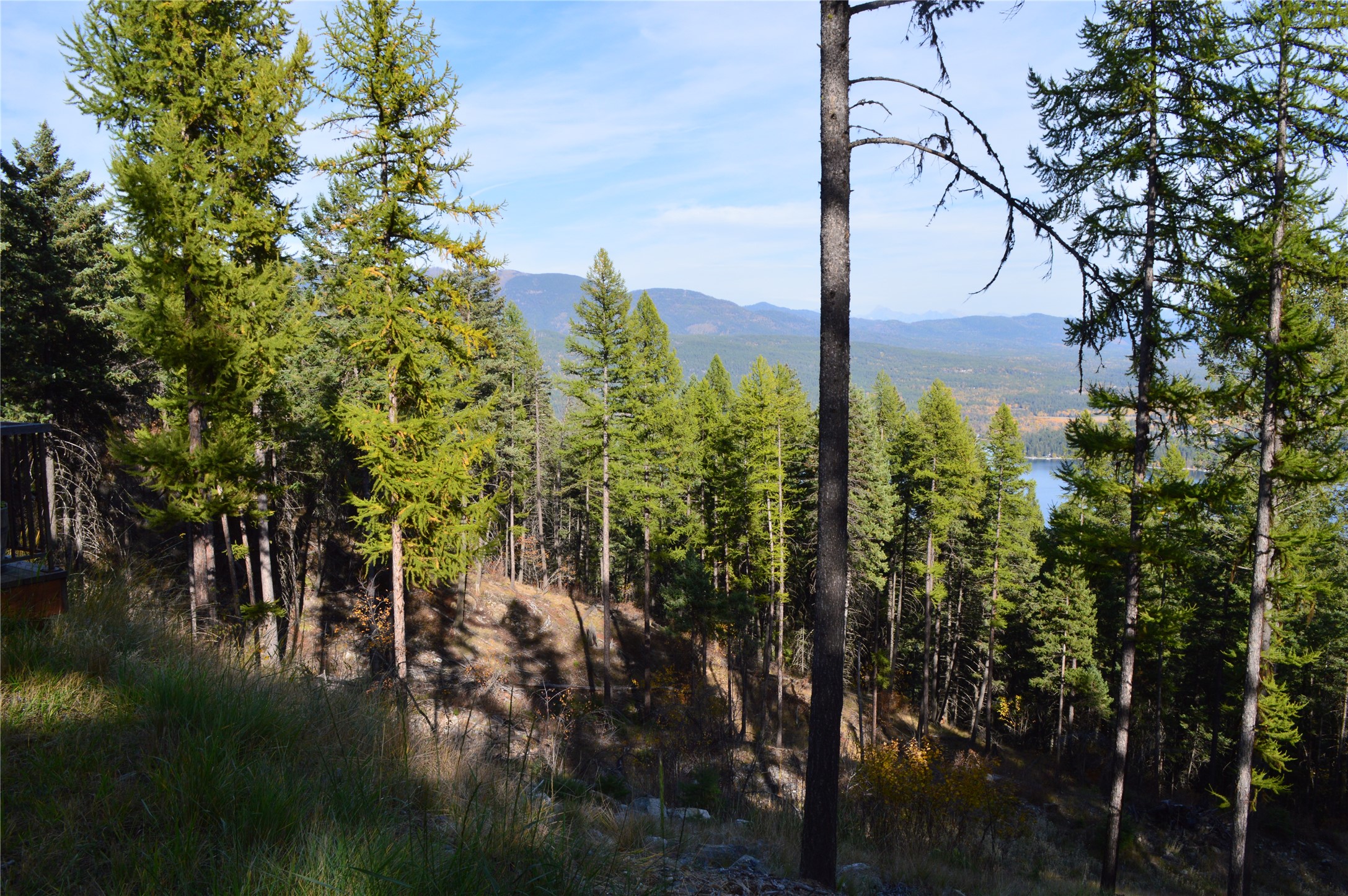 2424 Wolftail Pines
