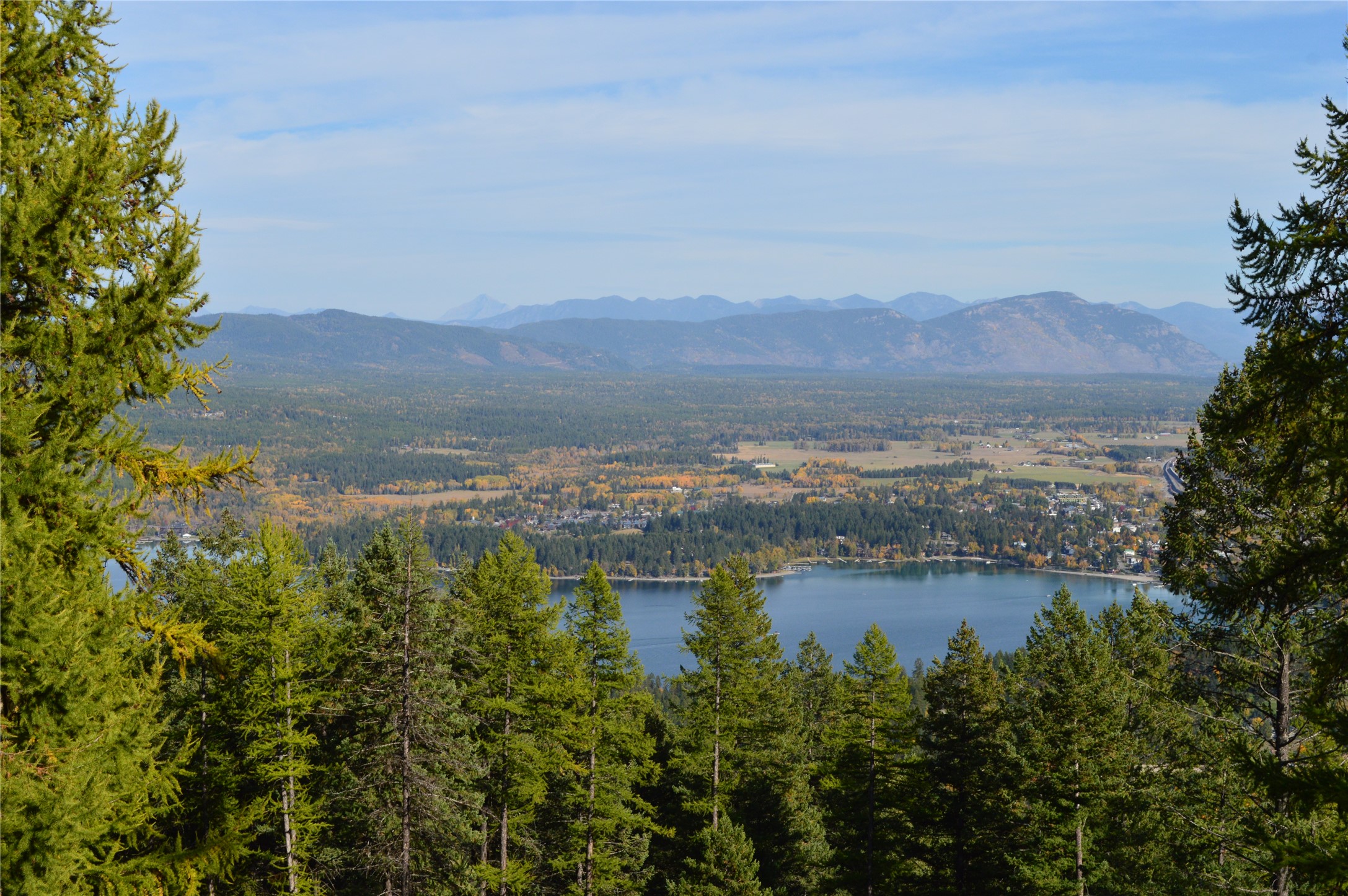 2424 Wolftail Pines