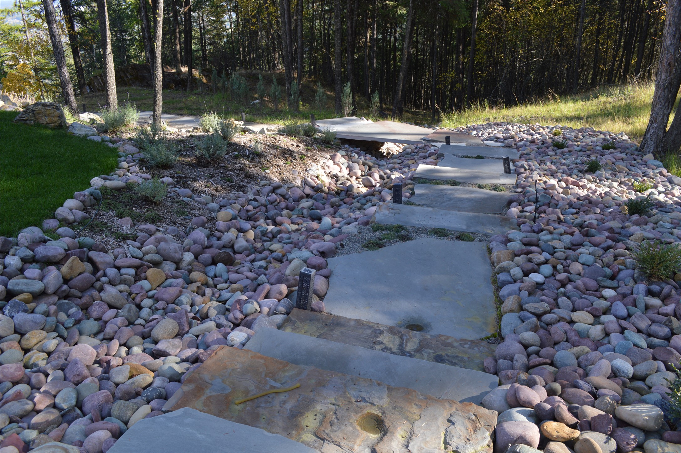 2424 Wolftail Pines