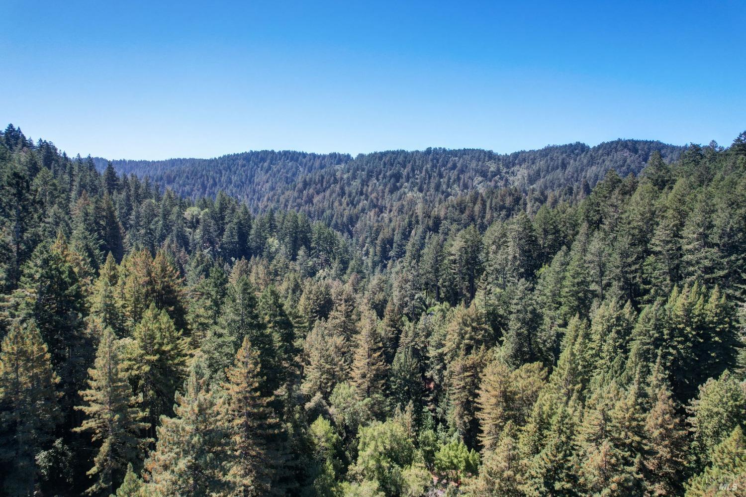 7391 Sir Francis Drake Blvd