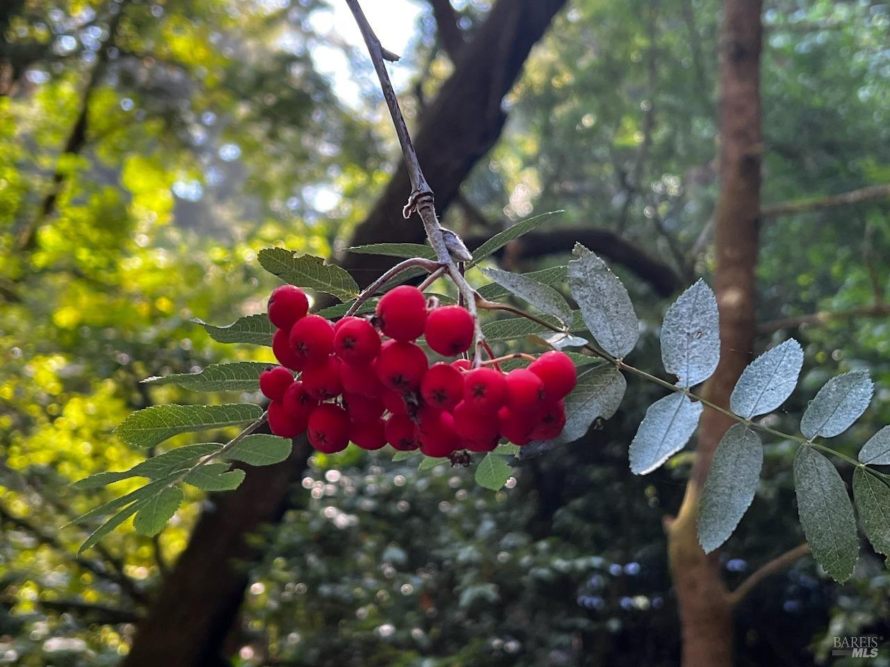 7391 Sir Francis Drake Blvd