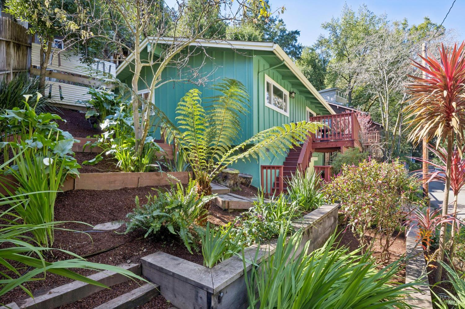 51 Tamalpais Road