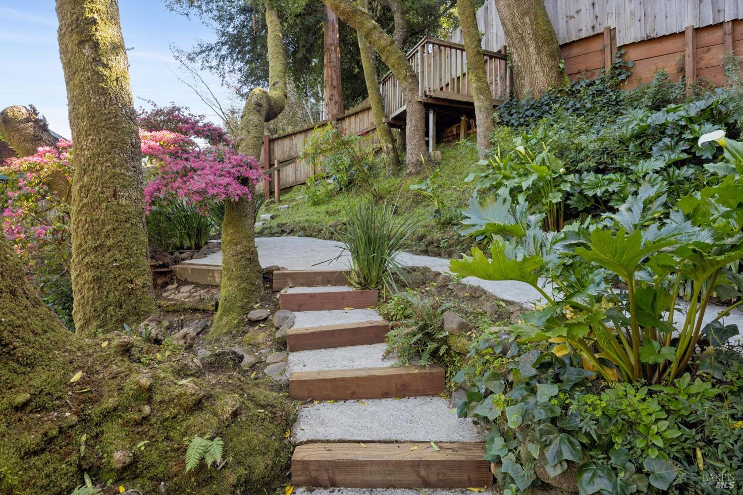 51 Tamalpais Road