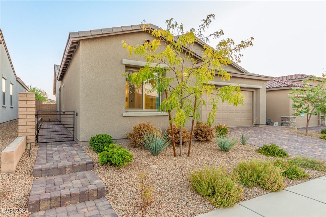 715 Cadence View Way