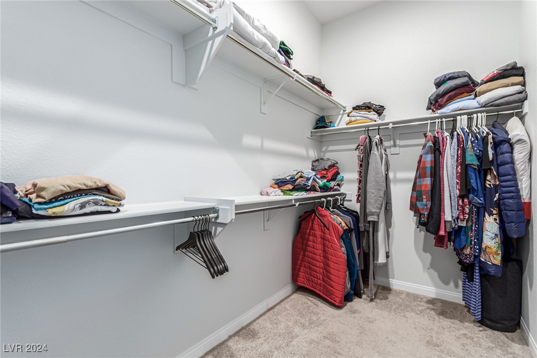 715 Cadence View Way