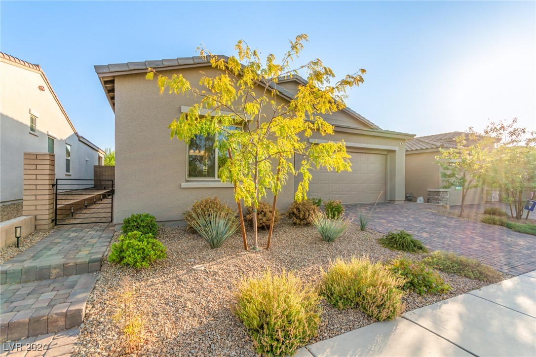 715 Cadence View Way