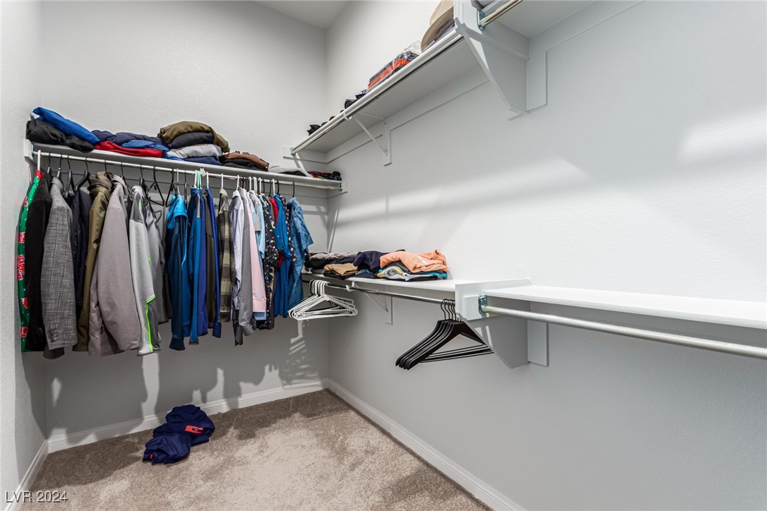 715 Cadence View Way