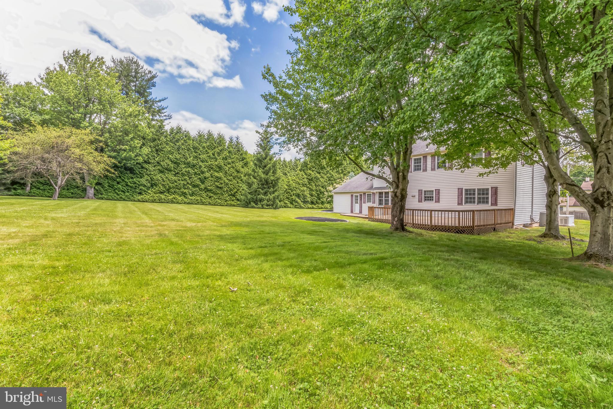 1351 WALTON ROAD