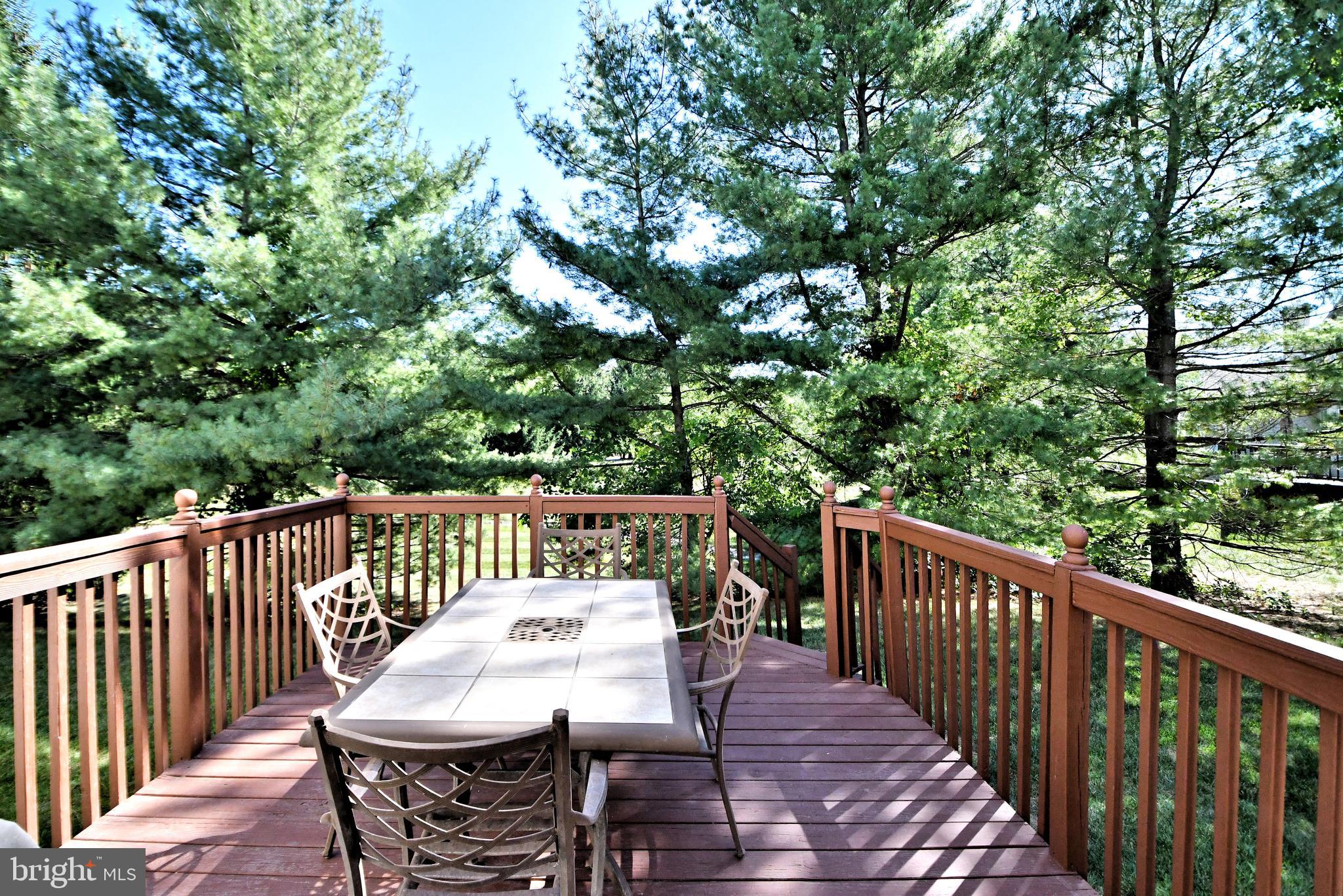 209 PRIMROSE LANE