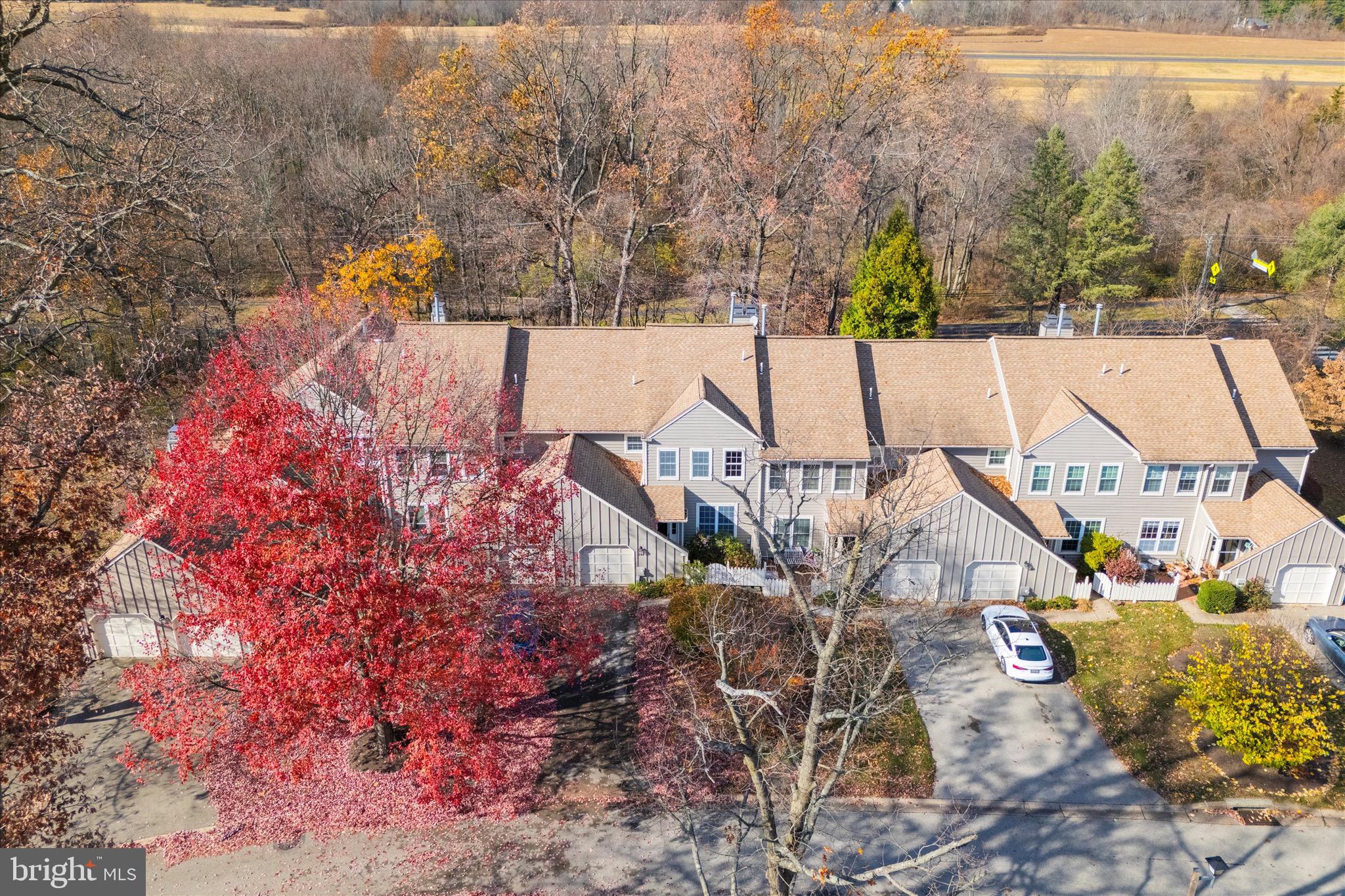 284 TULIP TREE COURT