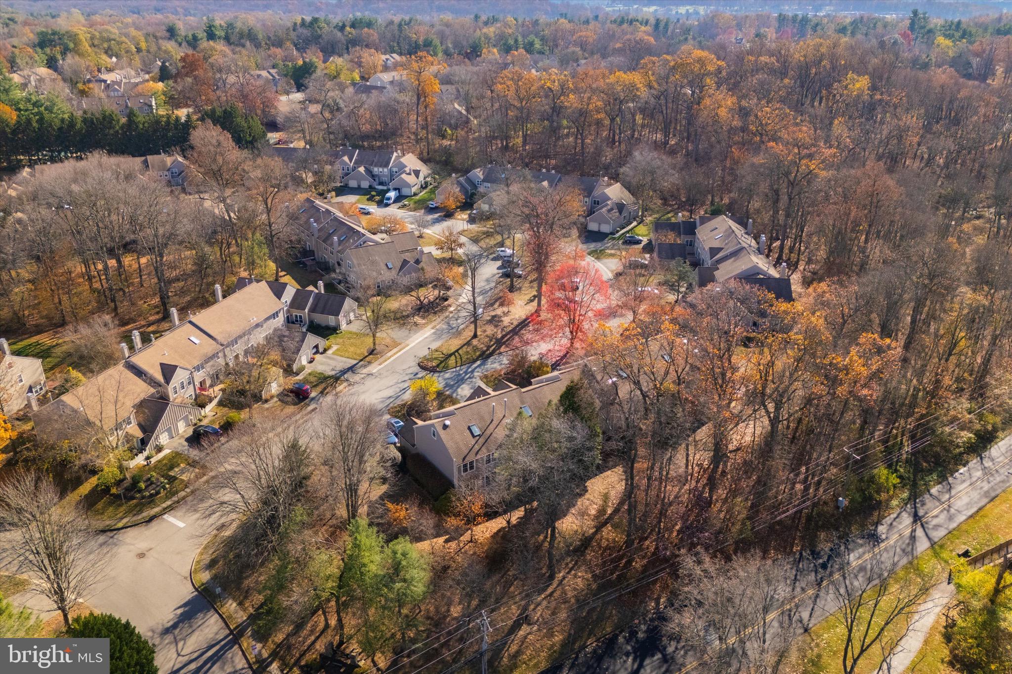 284 TULIP TREE COURT