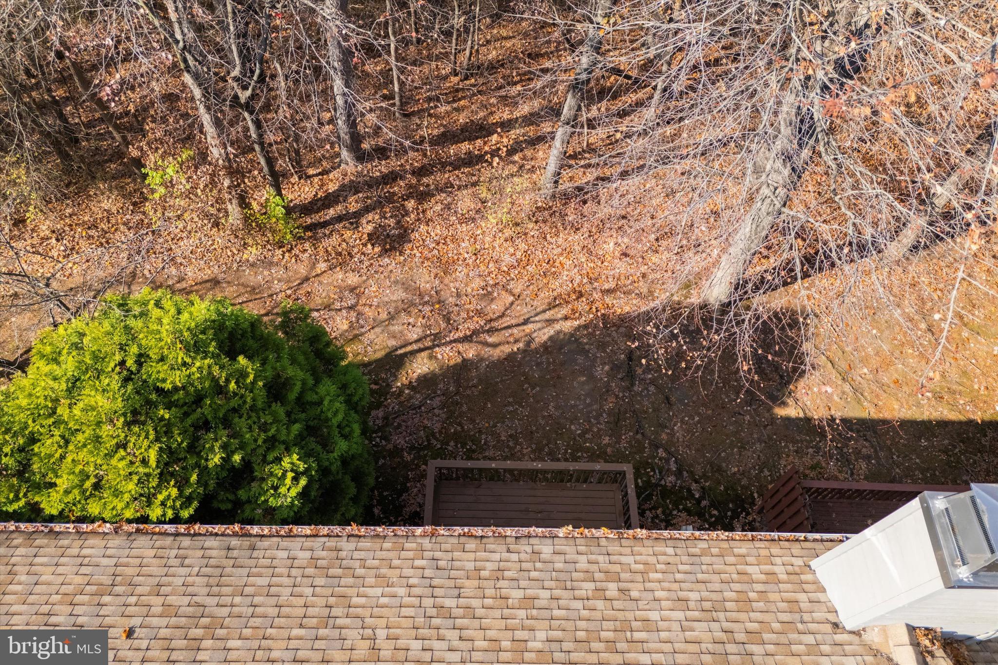284 TULIP TREE COURT