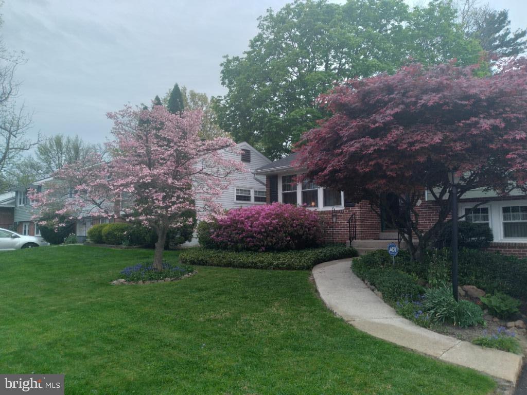 506 EVANS AVENUE