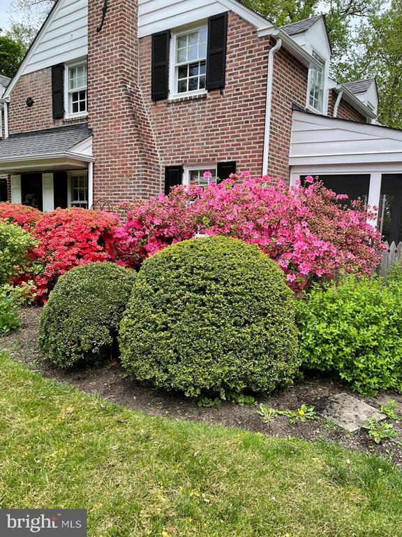 497 PLYMOUTH ROAD