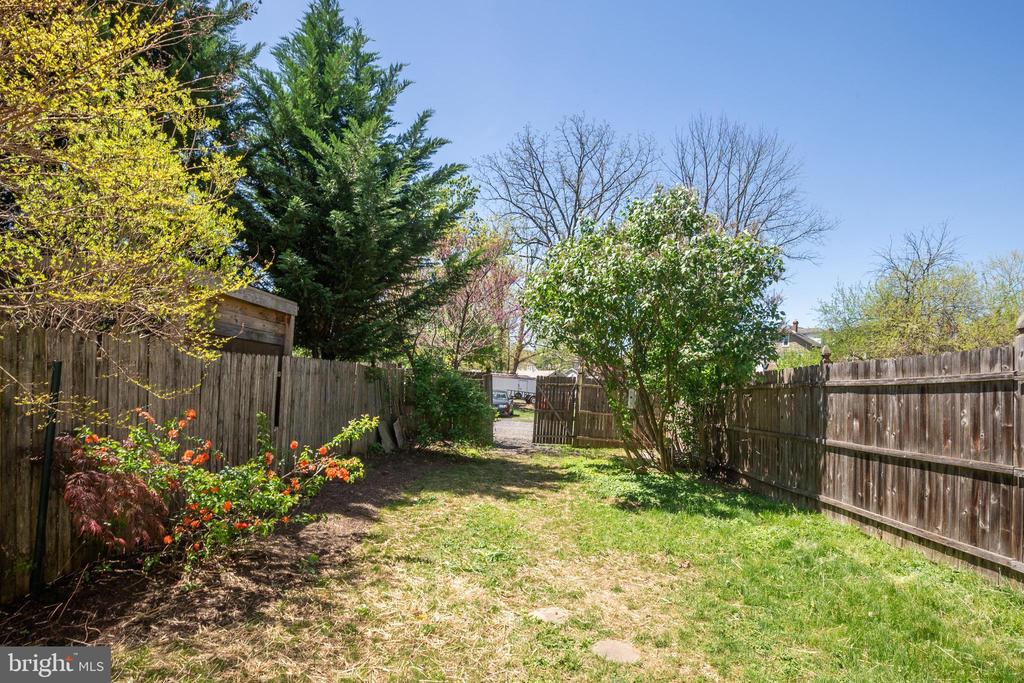 17 AMBLER ROAD