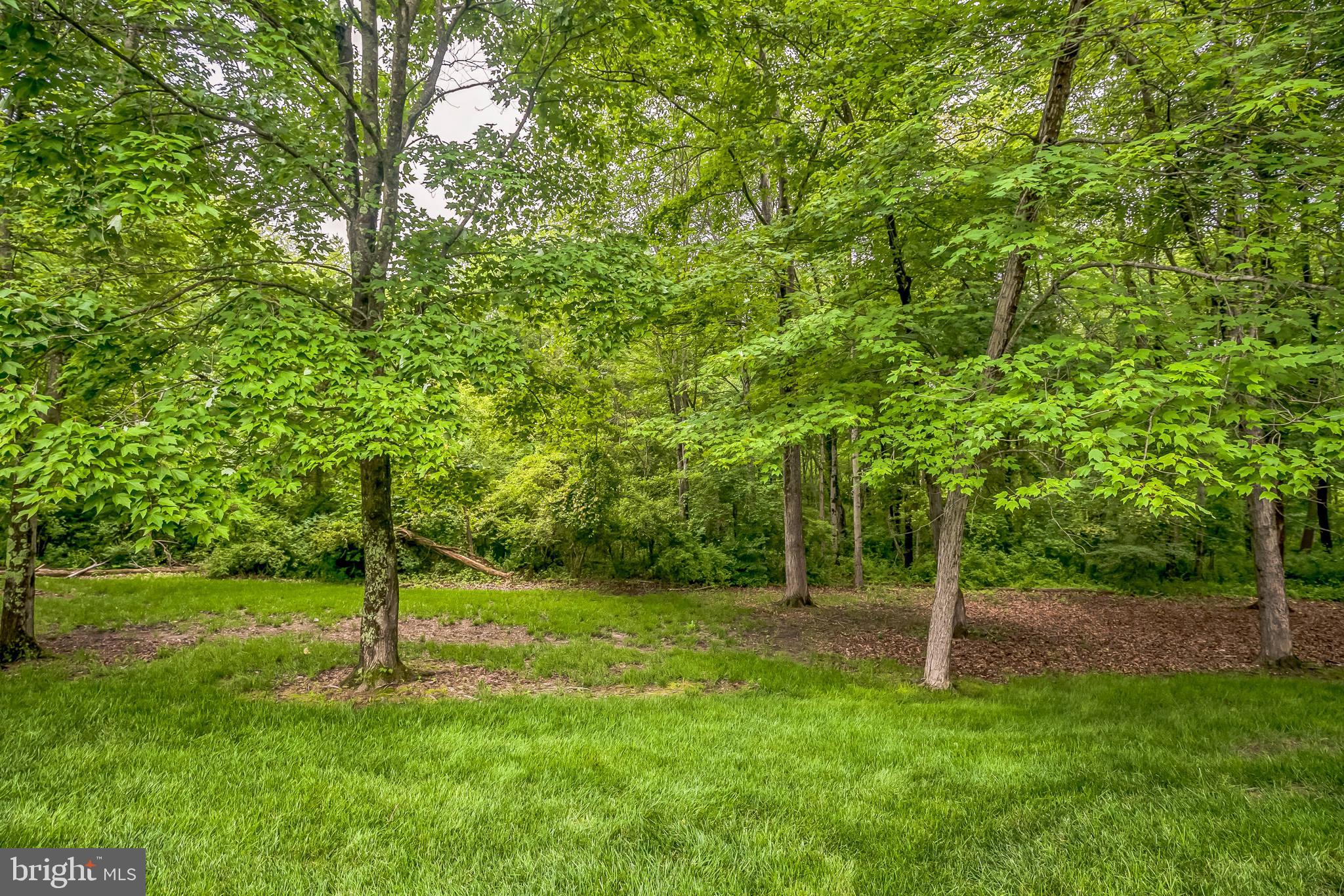 262 RUNNING WATER COURT
