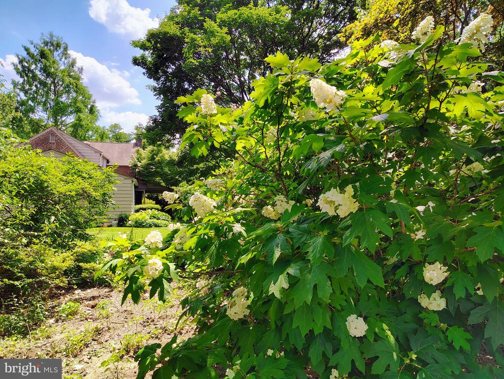 435 LAVEROCK ROAD