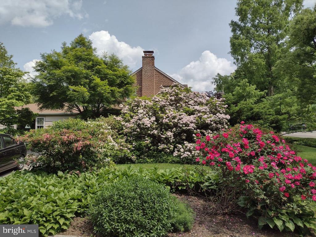 435 LAVEROCK ROAD