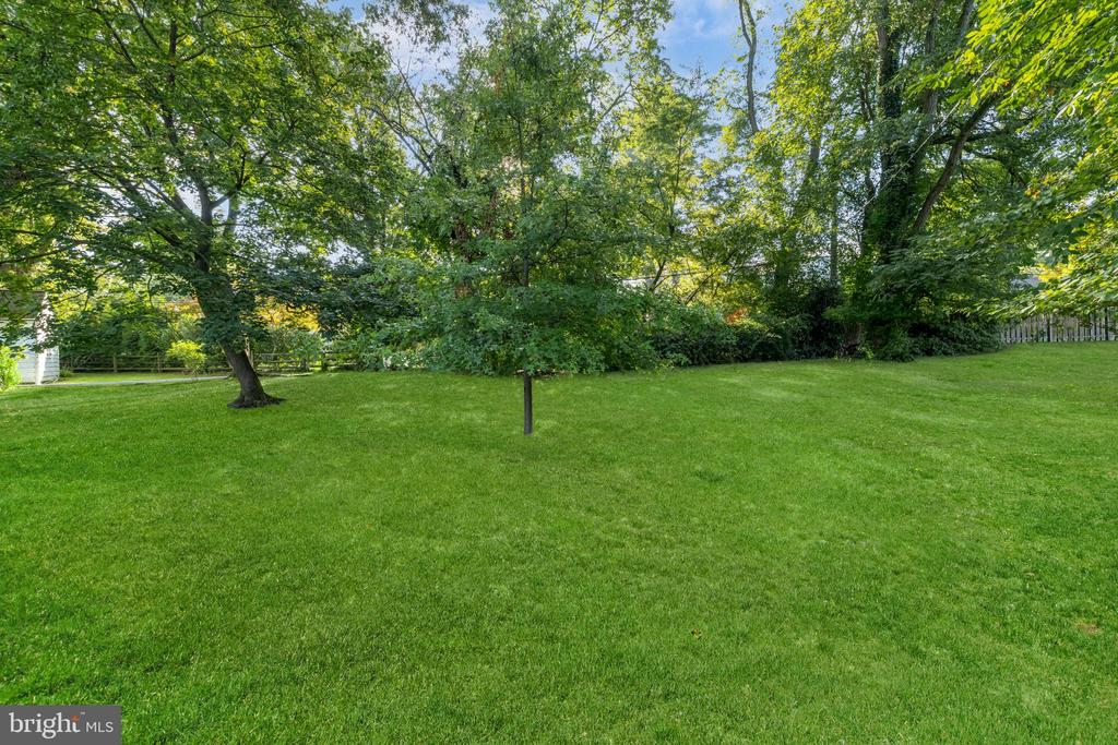 1049 HOLLYTREE ROAD