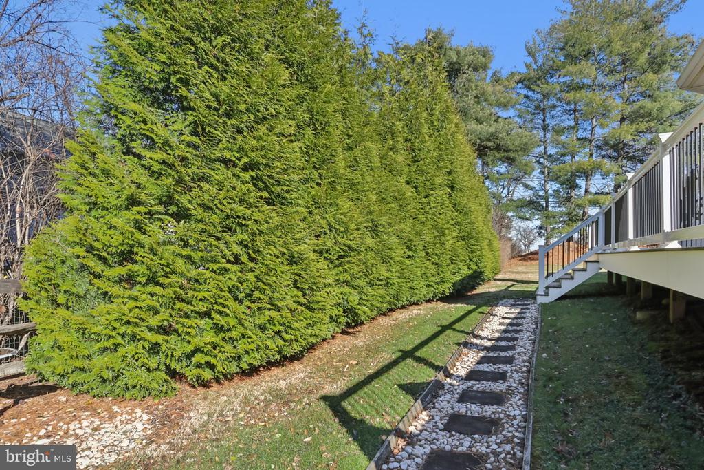 1 DAISY LANE