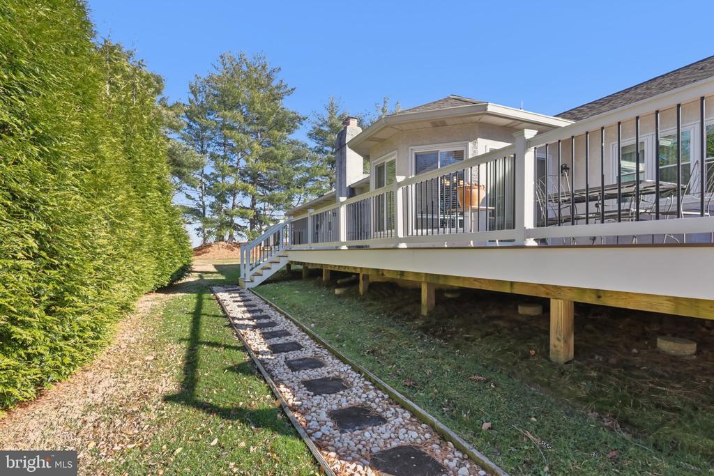 1 DAISY LANE