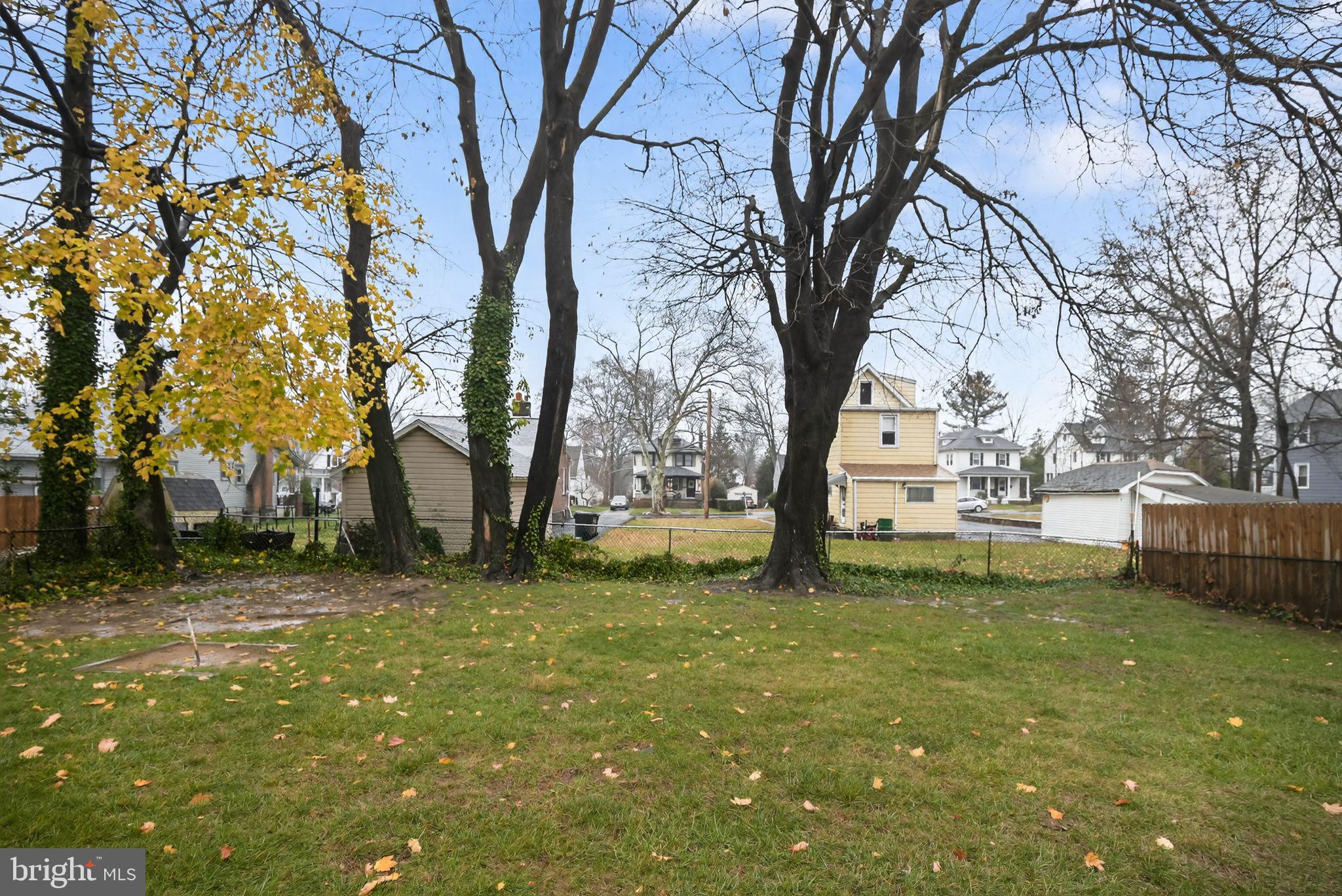 342 CRICKET AVENUE