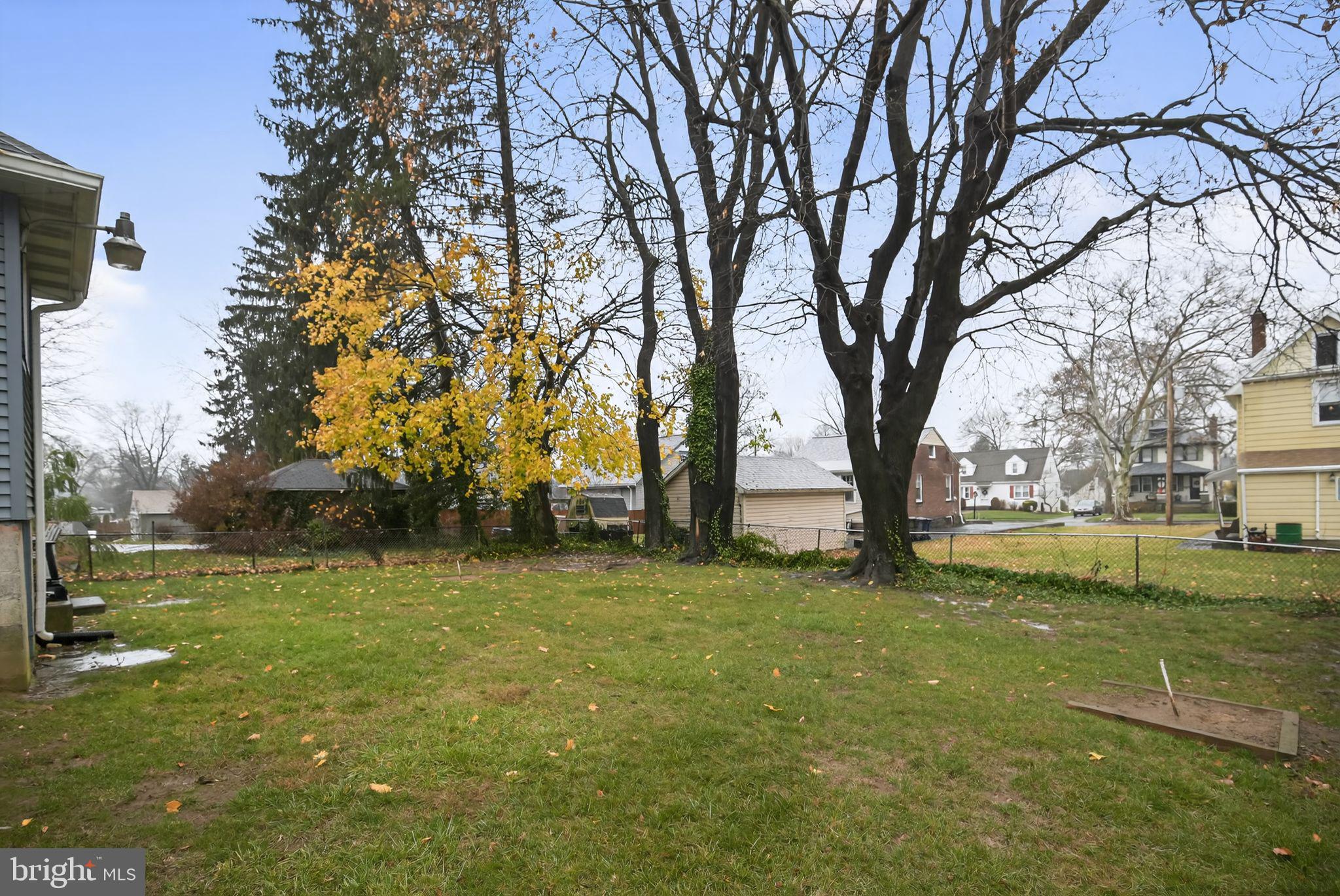 342 CRICKET AVENUE